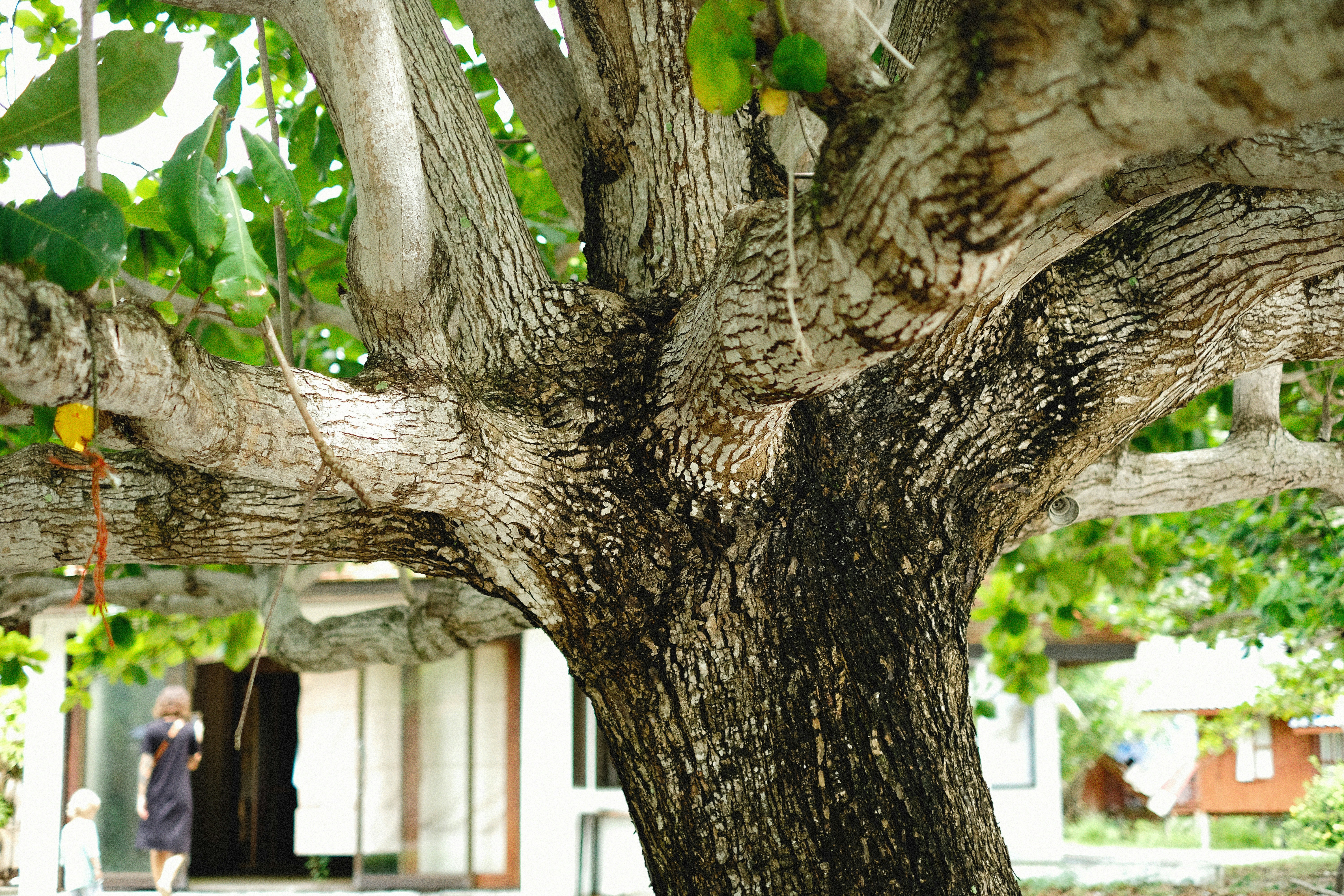 Photo by alexeydemidov