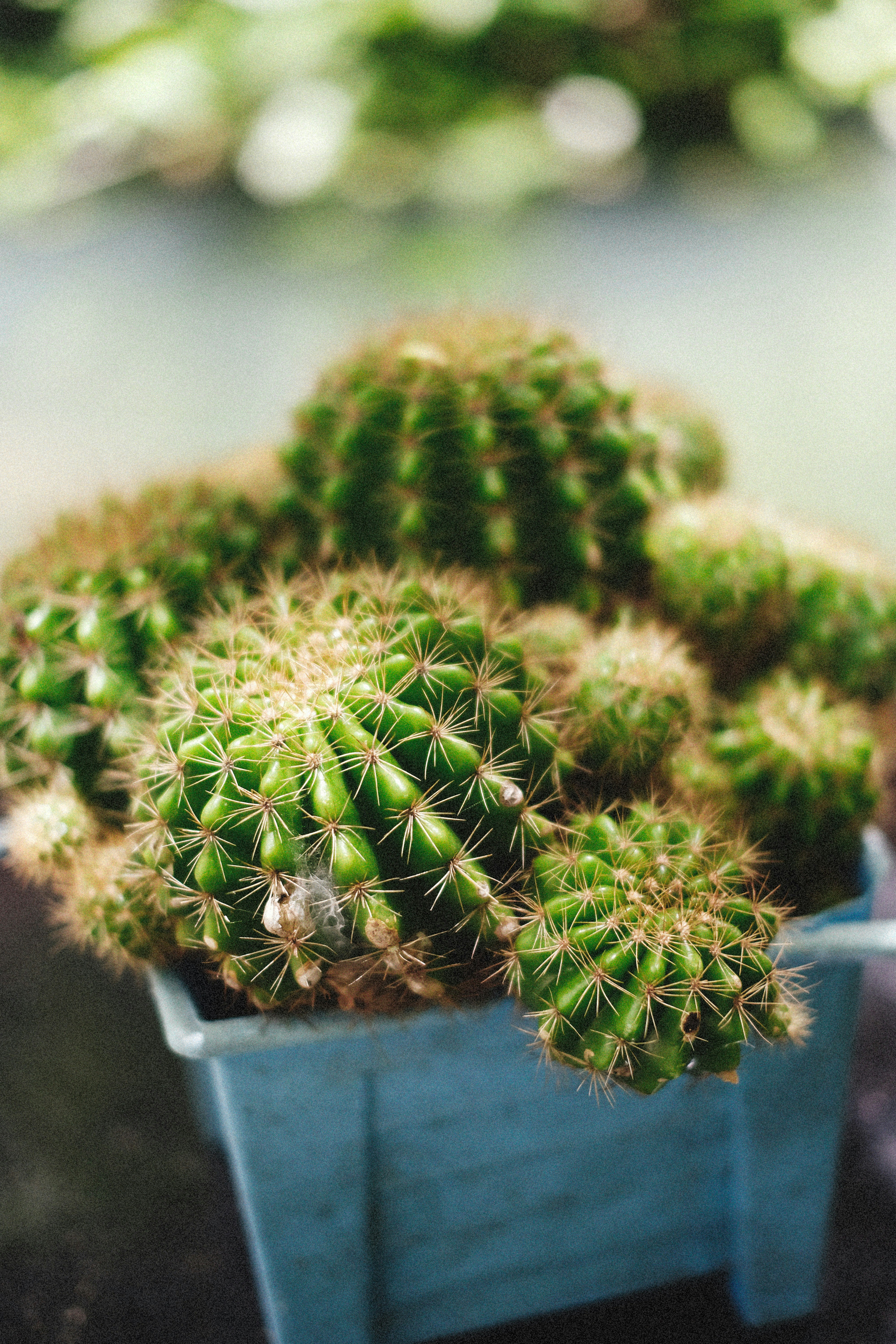 Photo by alexeydemidov