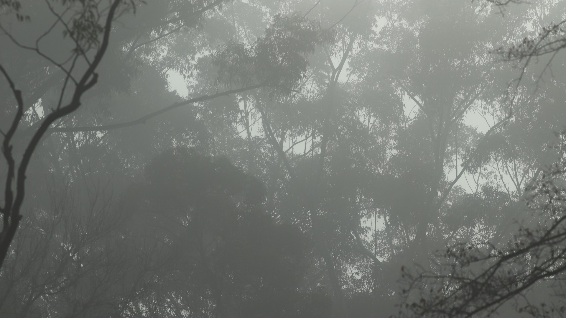 woman wearing yellow long-sleeved dress under white clouds and blue sky during daytime