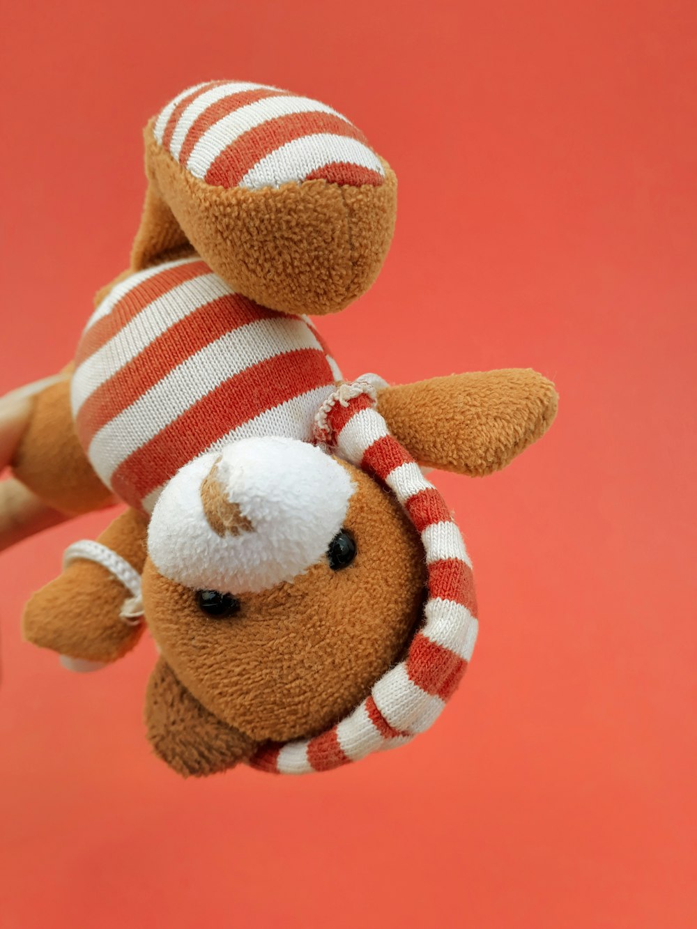 a brown teddy bear wearing a red and white striped hat
