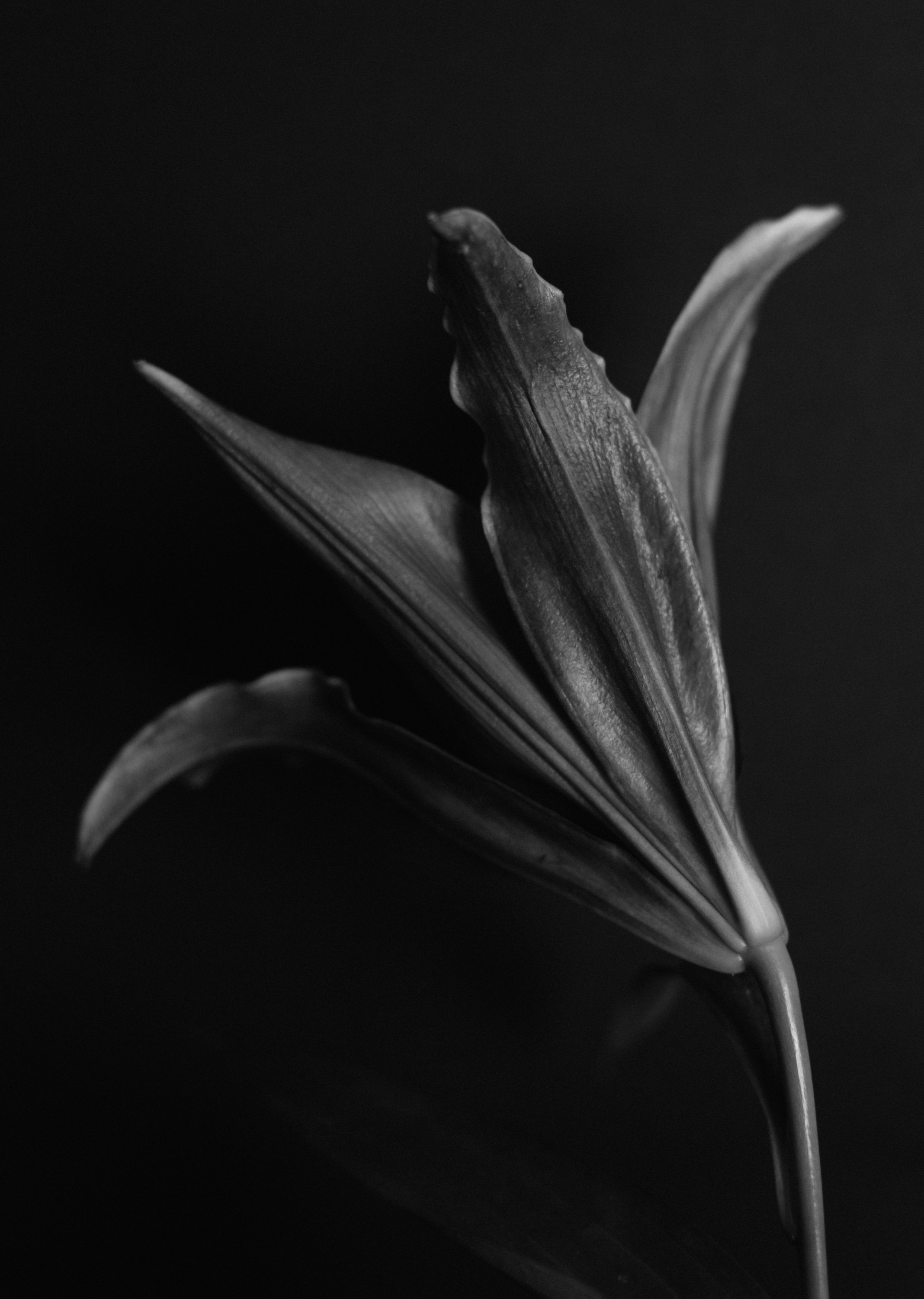 Photo by renatakneedham