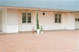 An outdoor space with terracotta tiles covers the ground. Two large windows with bars are set in the plain, light-colored wall. Close to the wall, there are three potted plants, with one climbing vine supported by a stick.