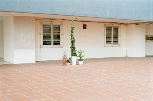 An outdoor space with terracotta tiles covers the ground. Two large windows with bars are set in the plain, light-colored wall. Close to the wall, there are three potted plants, with one climbing vine supported by a stick.