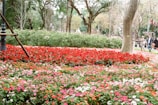 A garden scene filled with vibrant flowers of various colors, primarily reds, pinks, and whites, arranged in neat patterns. Tall trees with thin trunks rise above the flower beds, providing a natural canopy. In the background, a few people can be seen walking along a path, adding a sense of scale and life to the tranquil setting. Lamp posts and other garden structures are visible among the foliage.