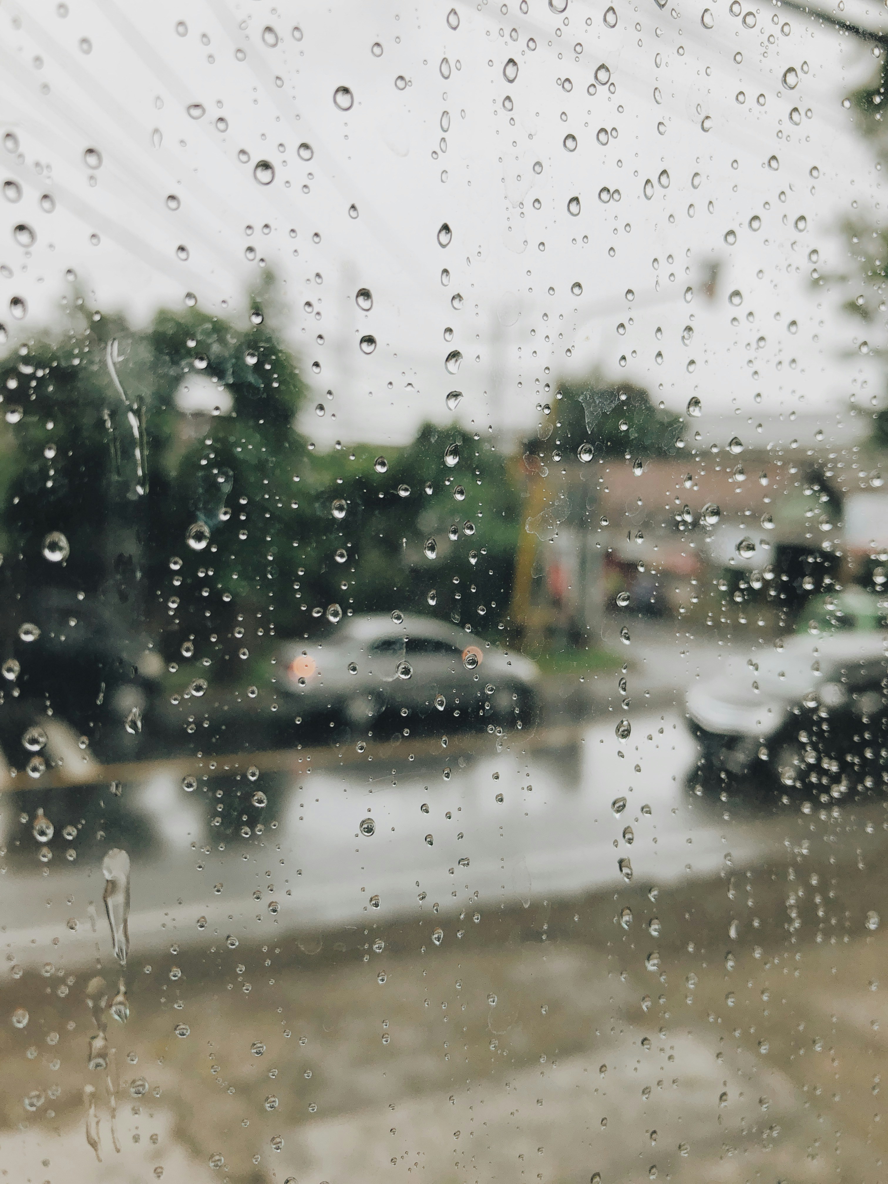 Photo by muslimatsary_