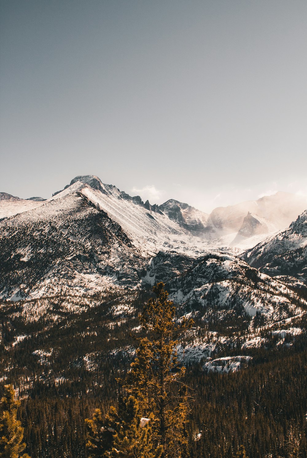 a snow covered mountain range with trees in the foreground