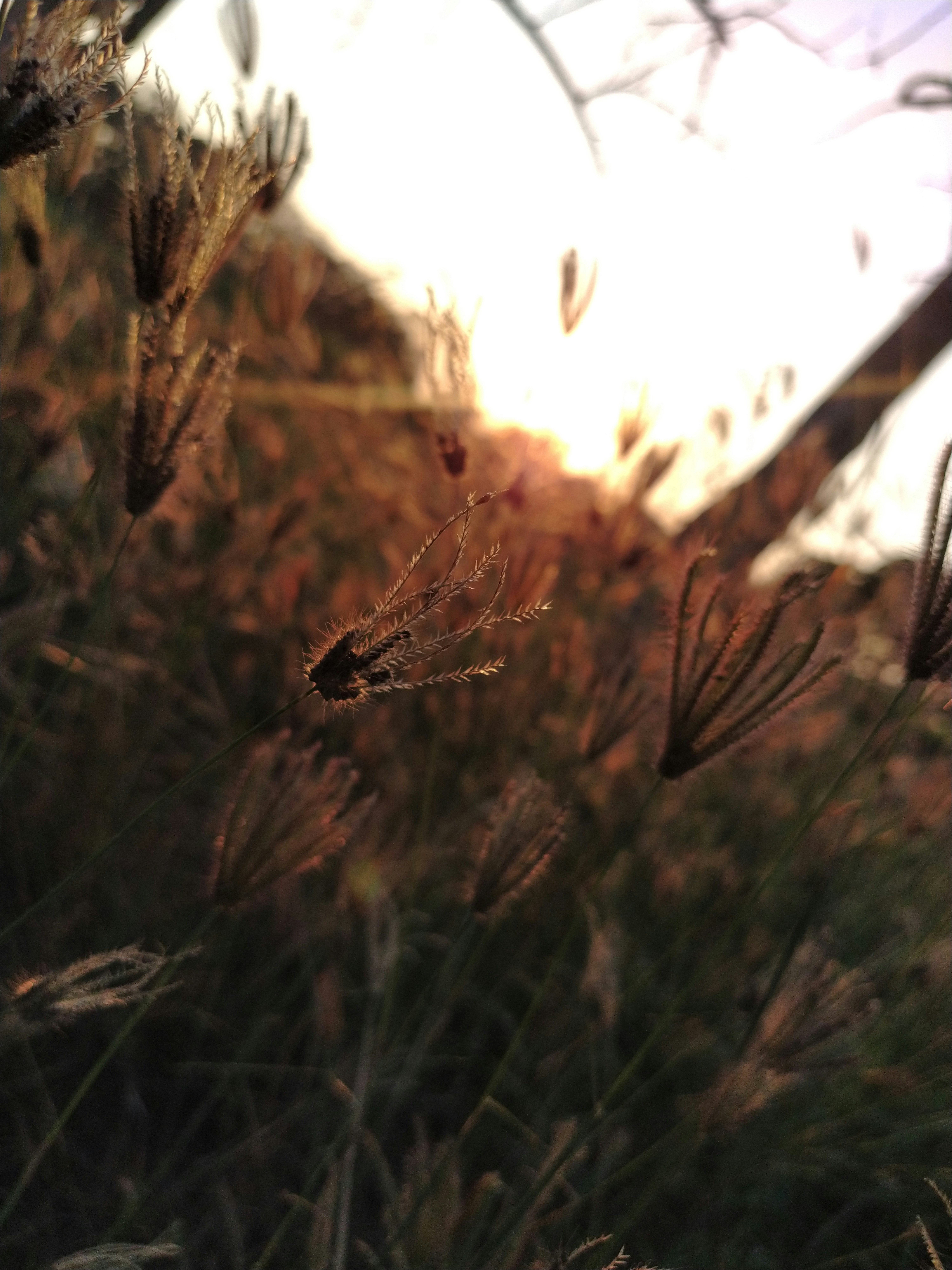 Photo by rahul_kambad