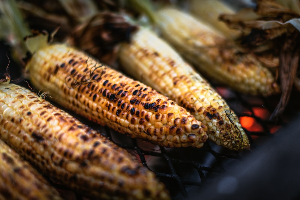 grilled corn on the cob on a grill