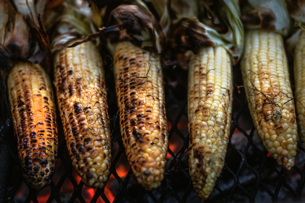 grilled corn on the cob on a grill