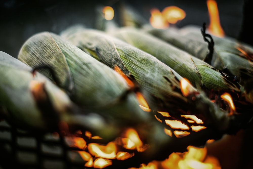 a basket filled with corn sitting on top of a grill