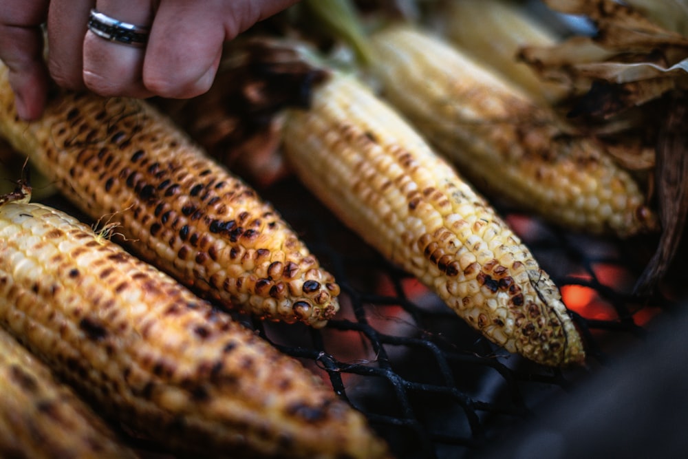 grilled corn on the cob on a grill