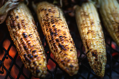 Corn grilled over open flame for elote