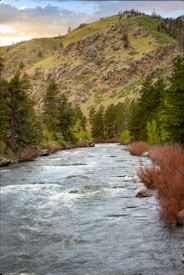 A clear river flows through a forested area with tall evergreen trees lining the banks. In the background, rocky hillsides rise, covered with sparse vegetation and displaying a variety of earthy tones. The sky above is partly cloudy, suggesting late afternoon or early morning light.