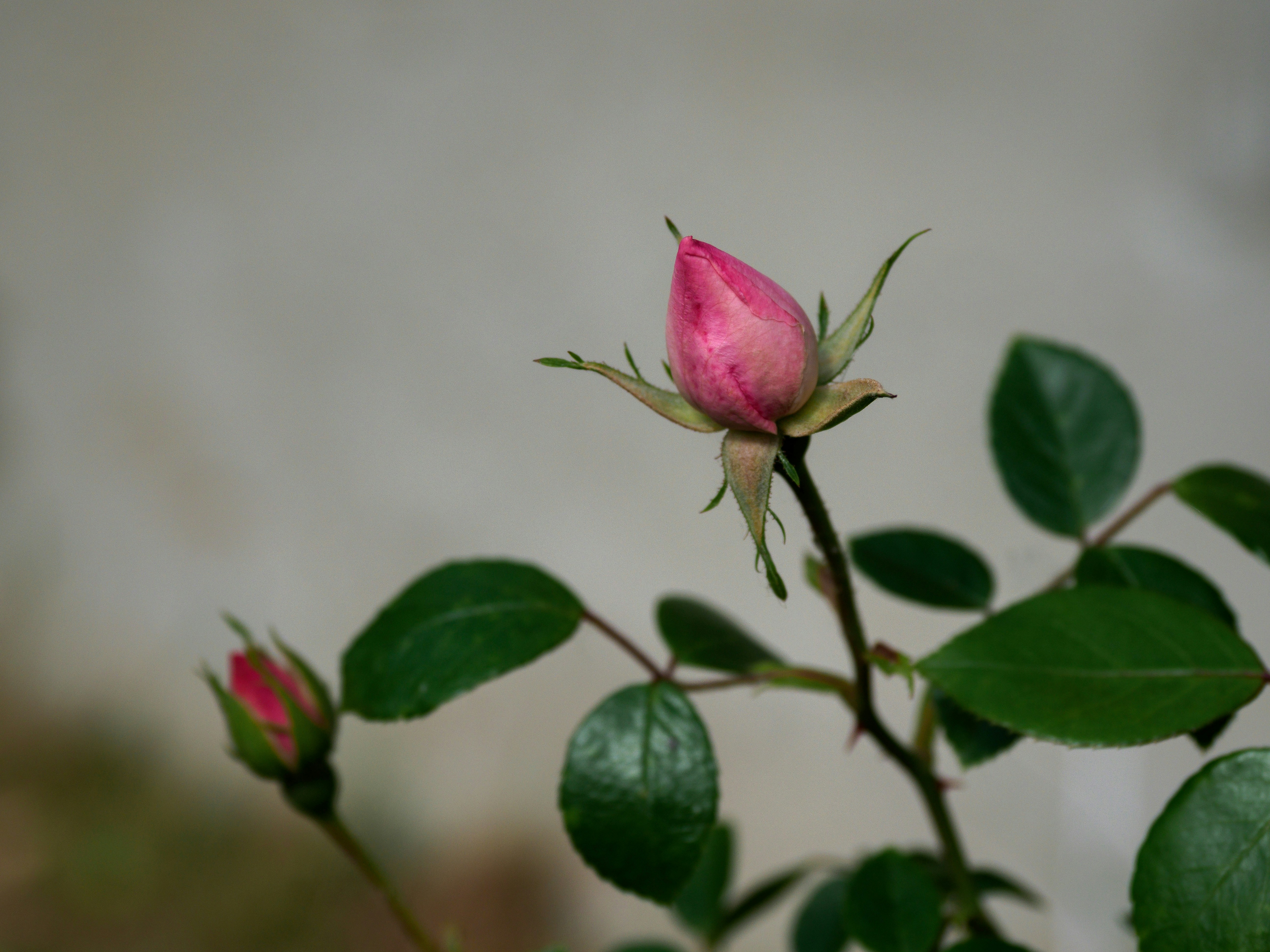 Photo by brett_jordan