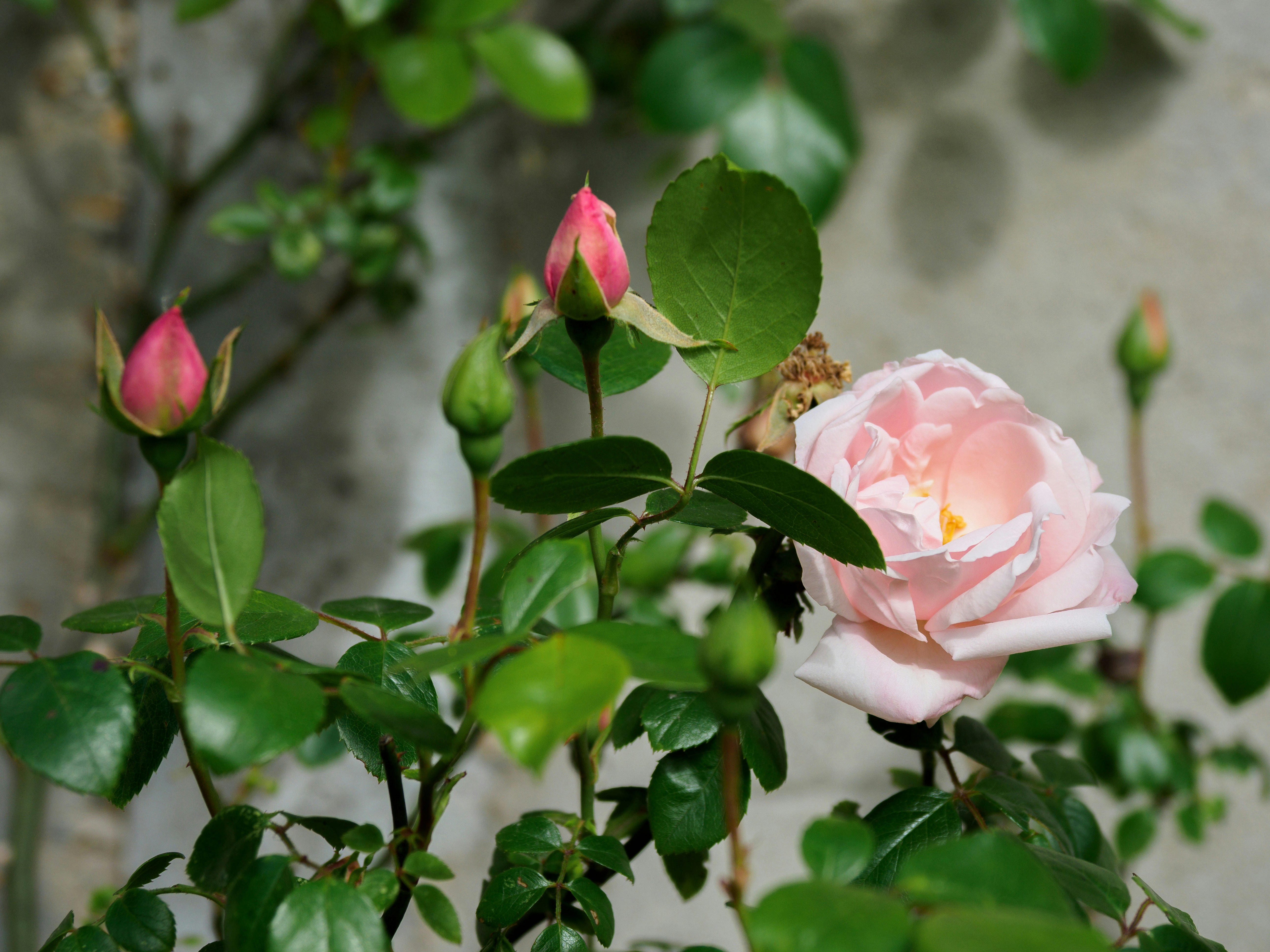 Photo by brett_jordan