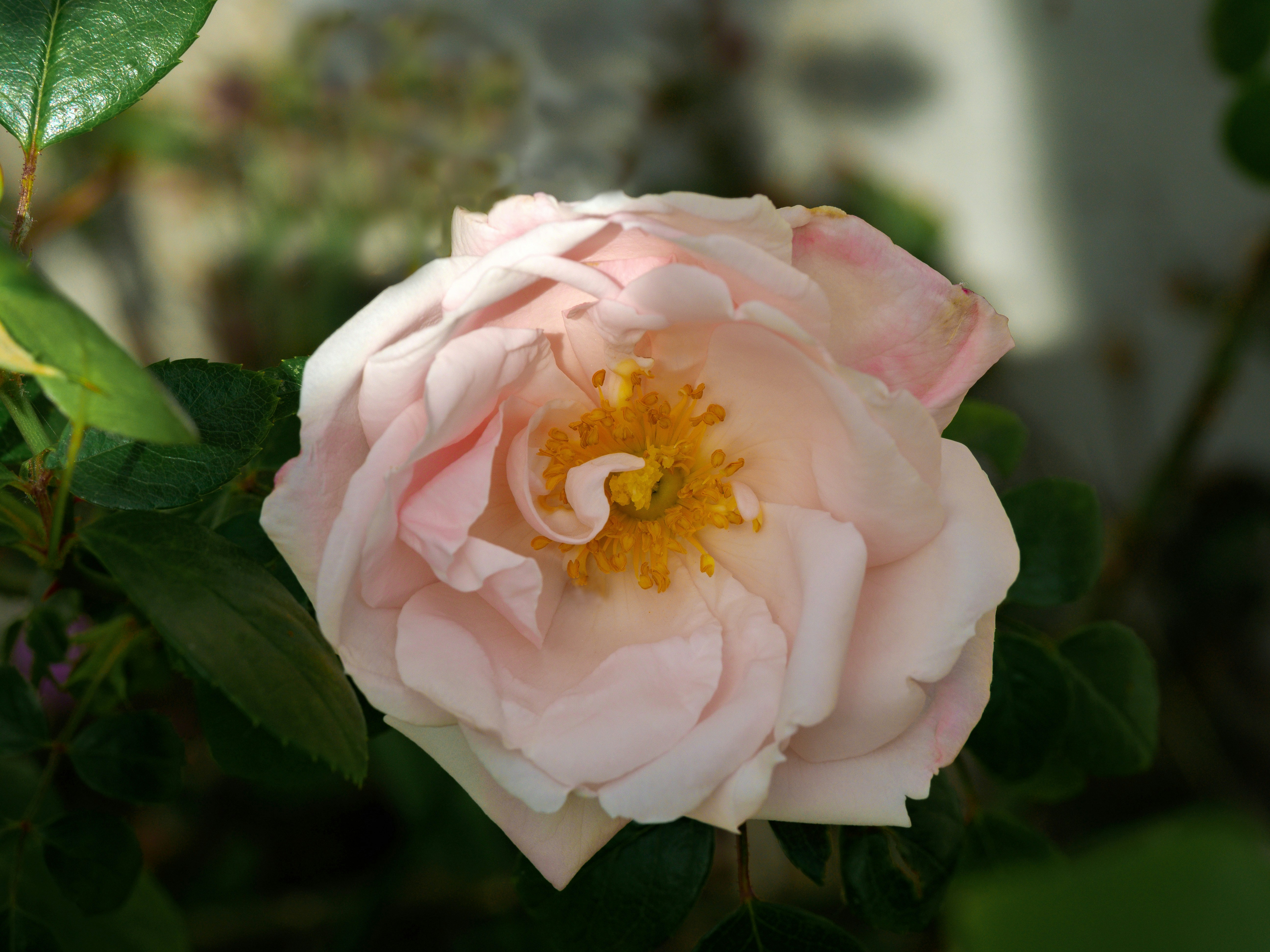 Photo by brett_jordan