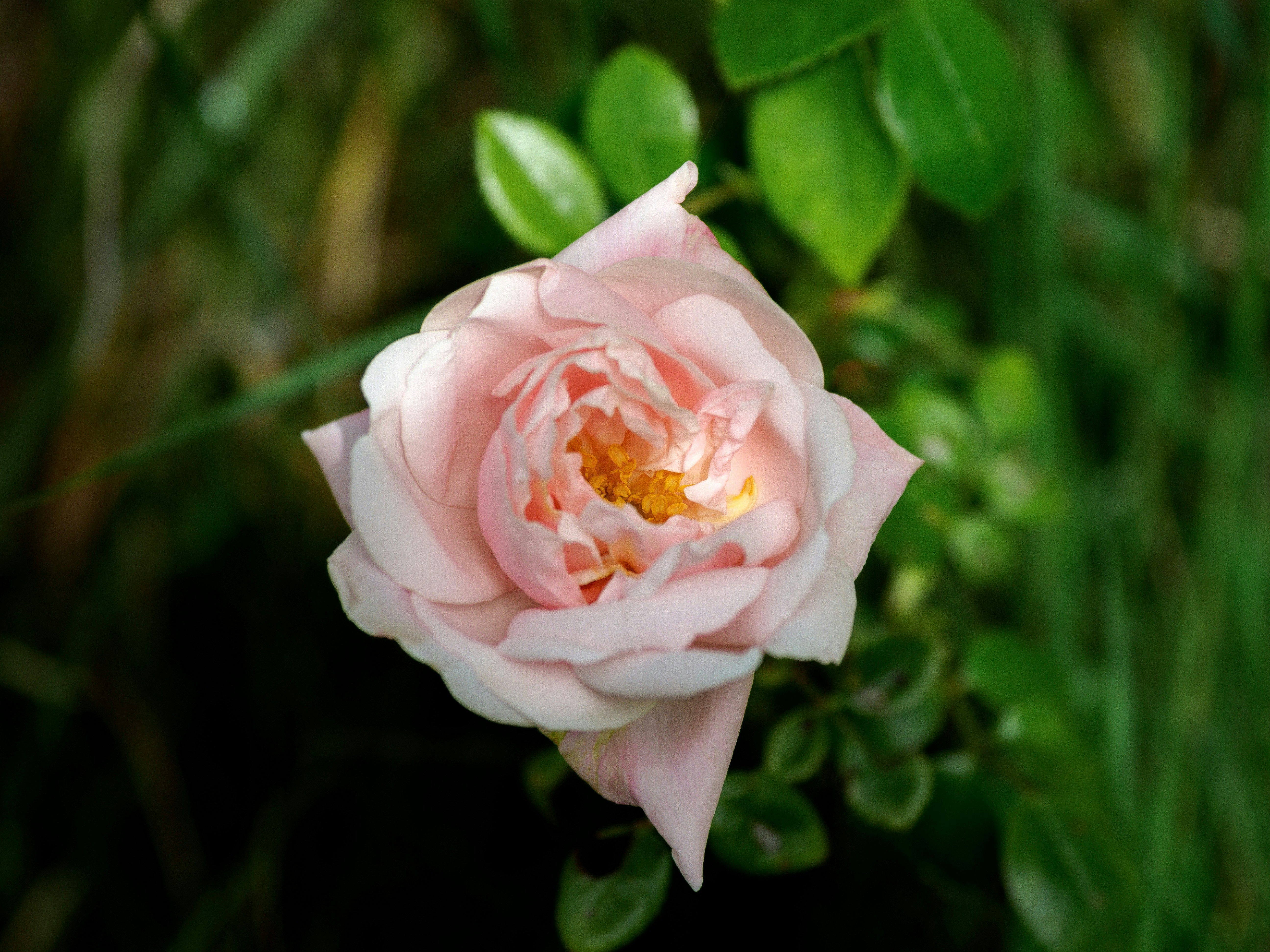 Photo by brett_jordan