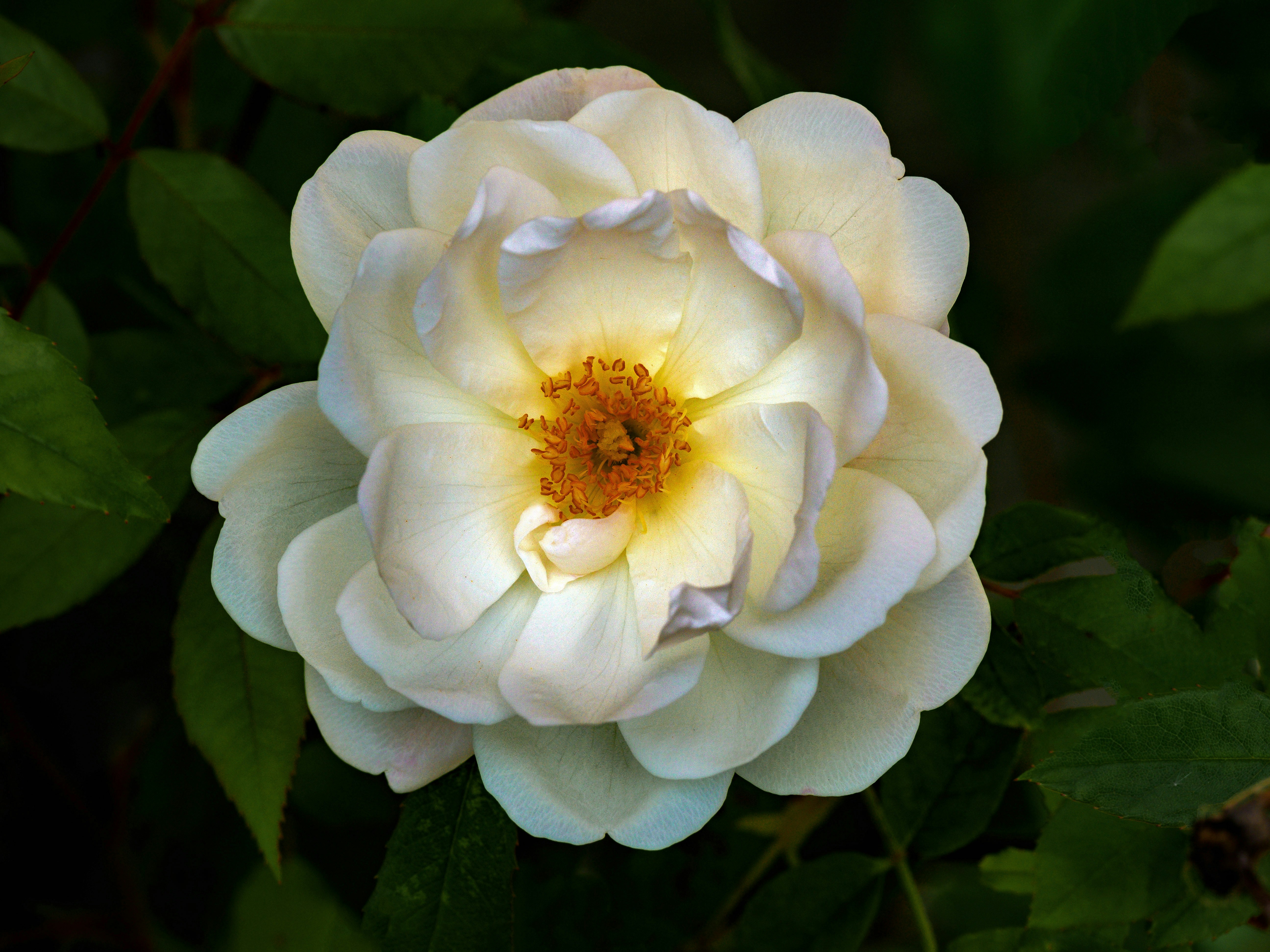 Photo by brett_jordan