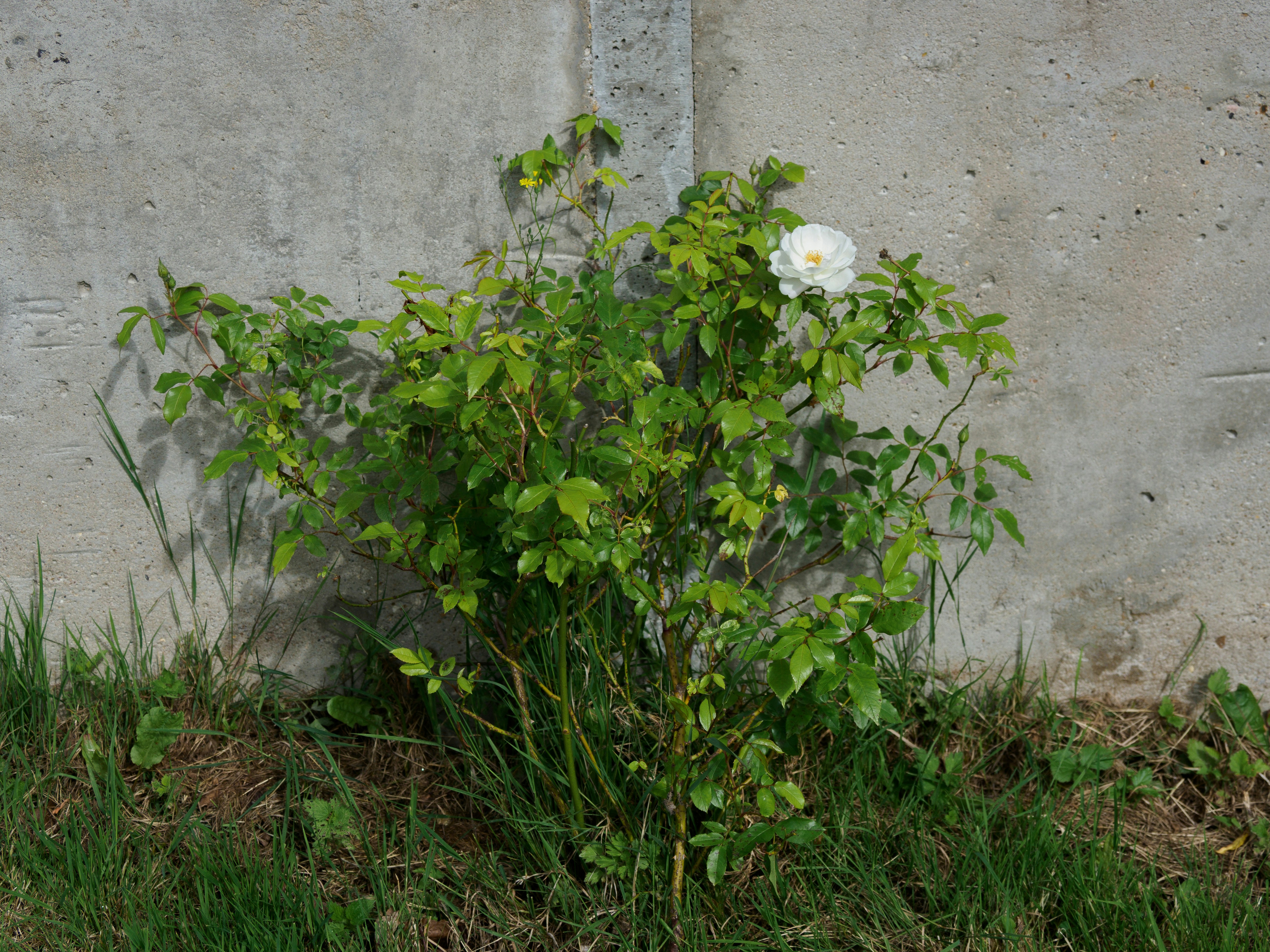 Photo by brett_jordan