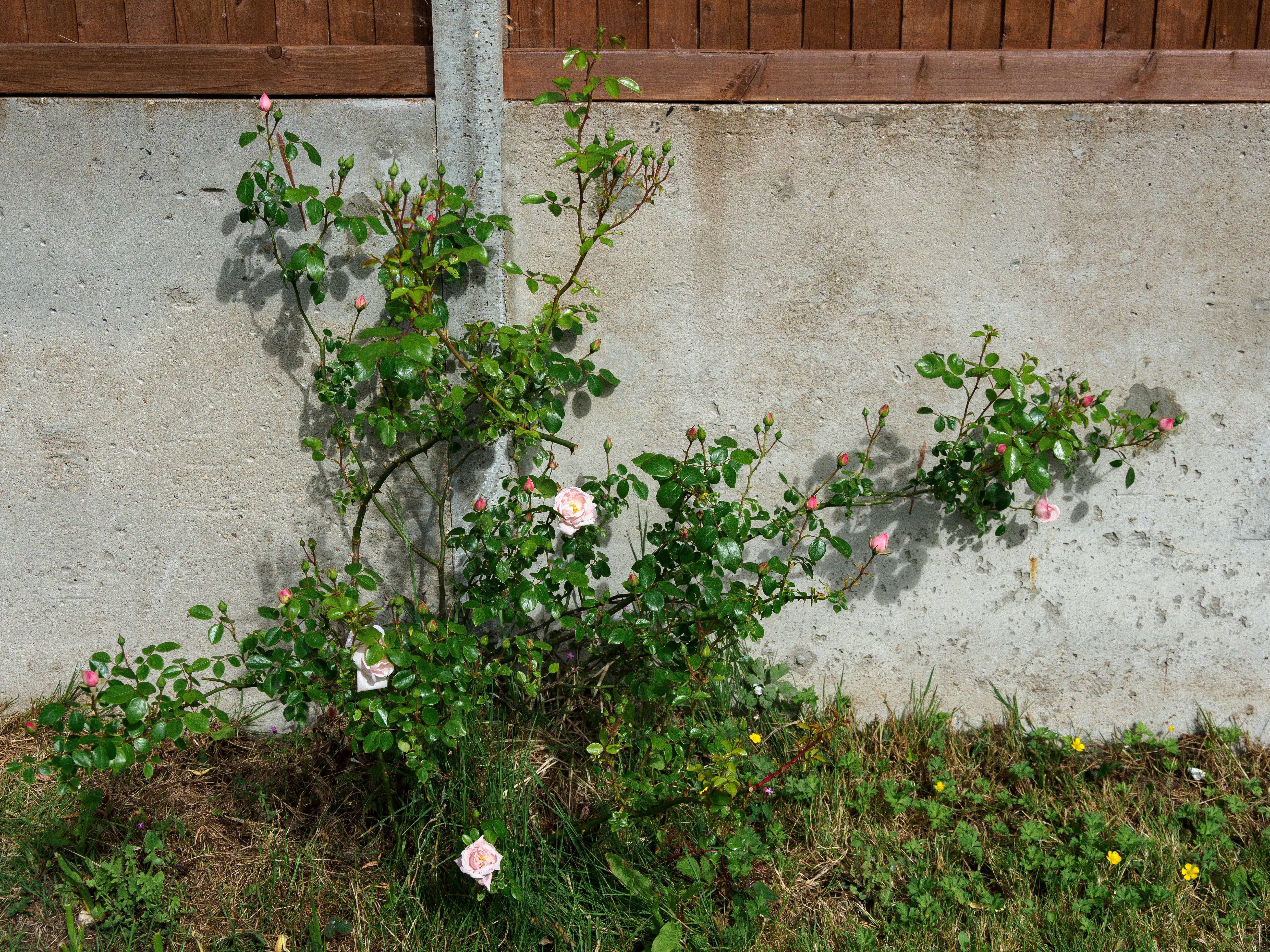 Photo by brett_jordan