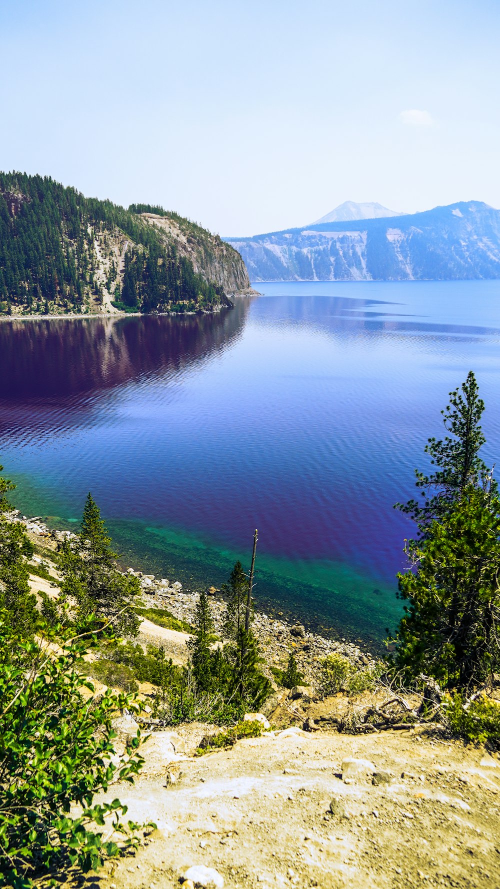 a large body of water surrounded by trees