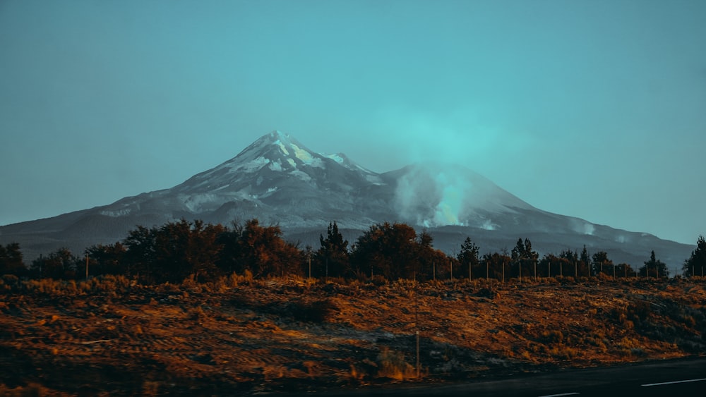 a snow covered mountain with trees in the foreground