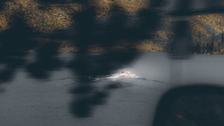 a blurry photo of a person on a snowboard