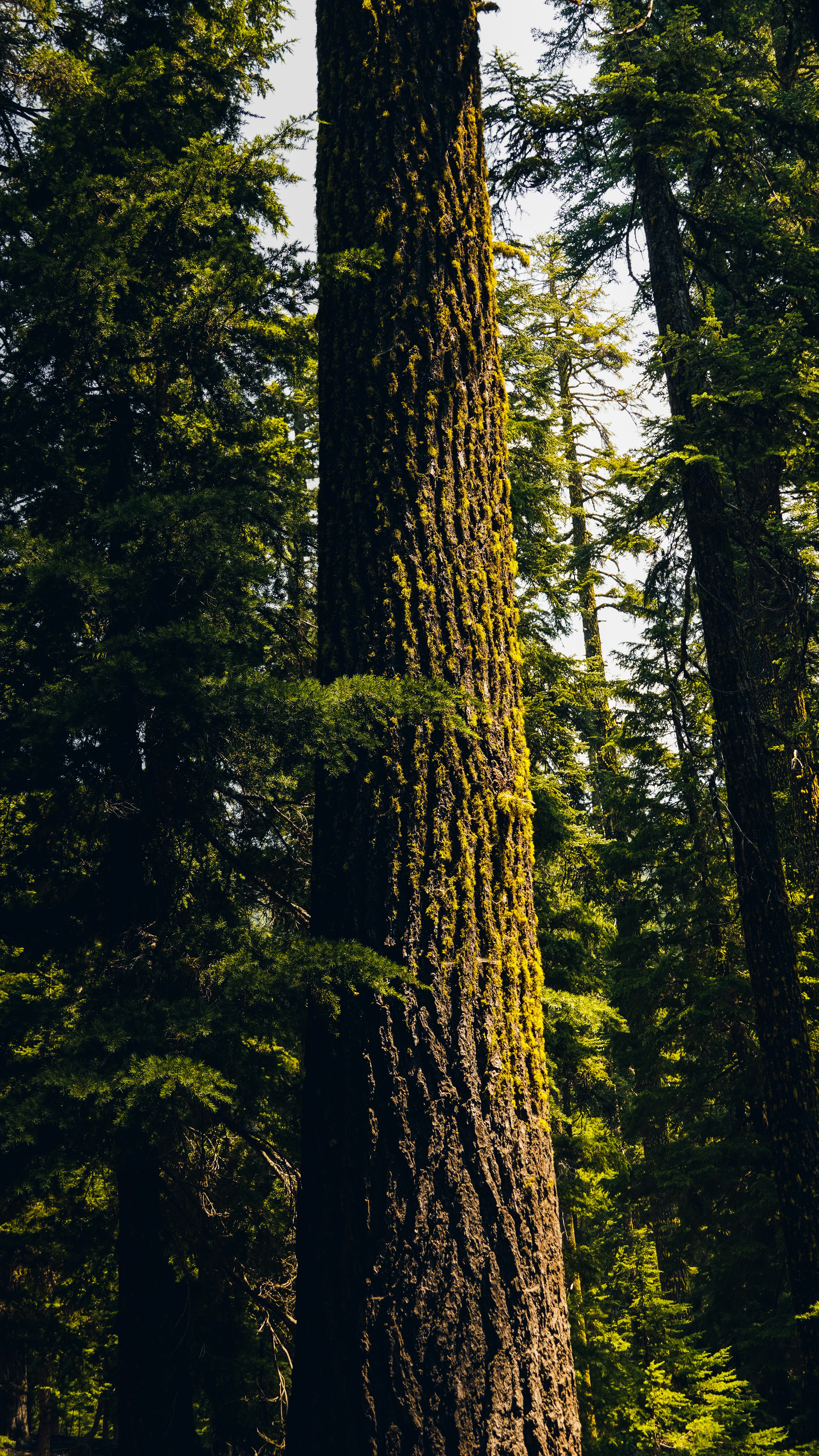 Photo by adrianvalverdem