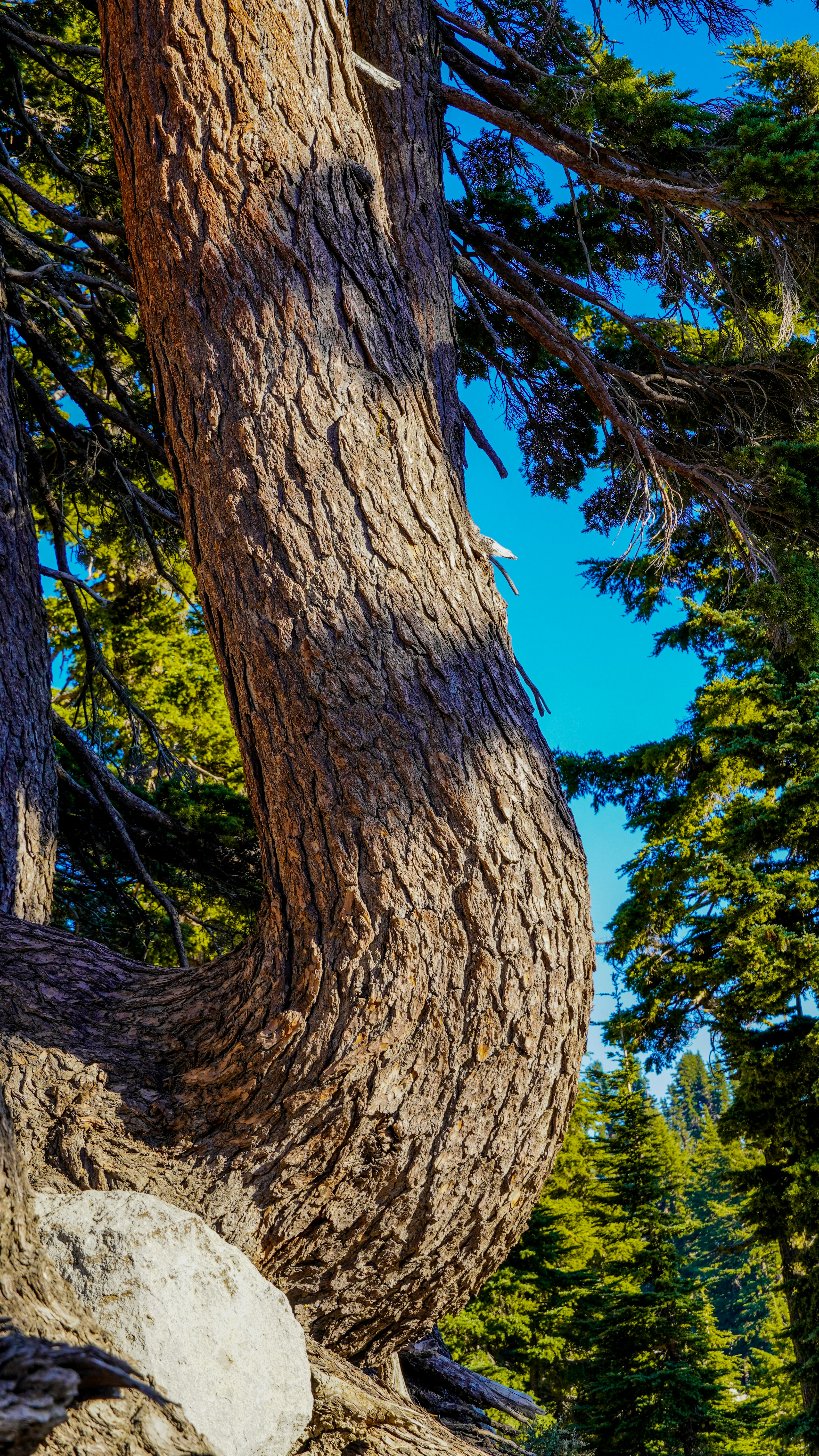 Photo by adrianvalverdem