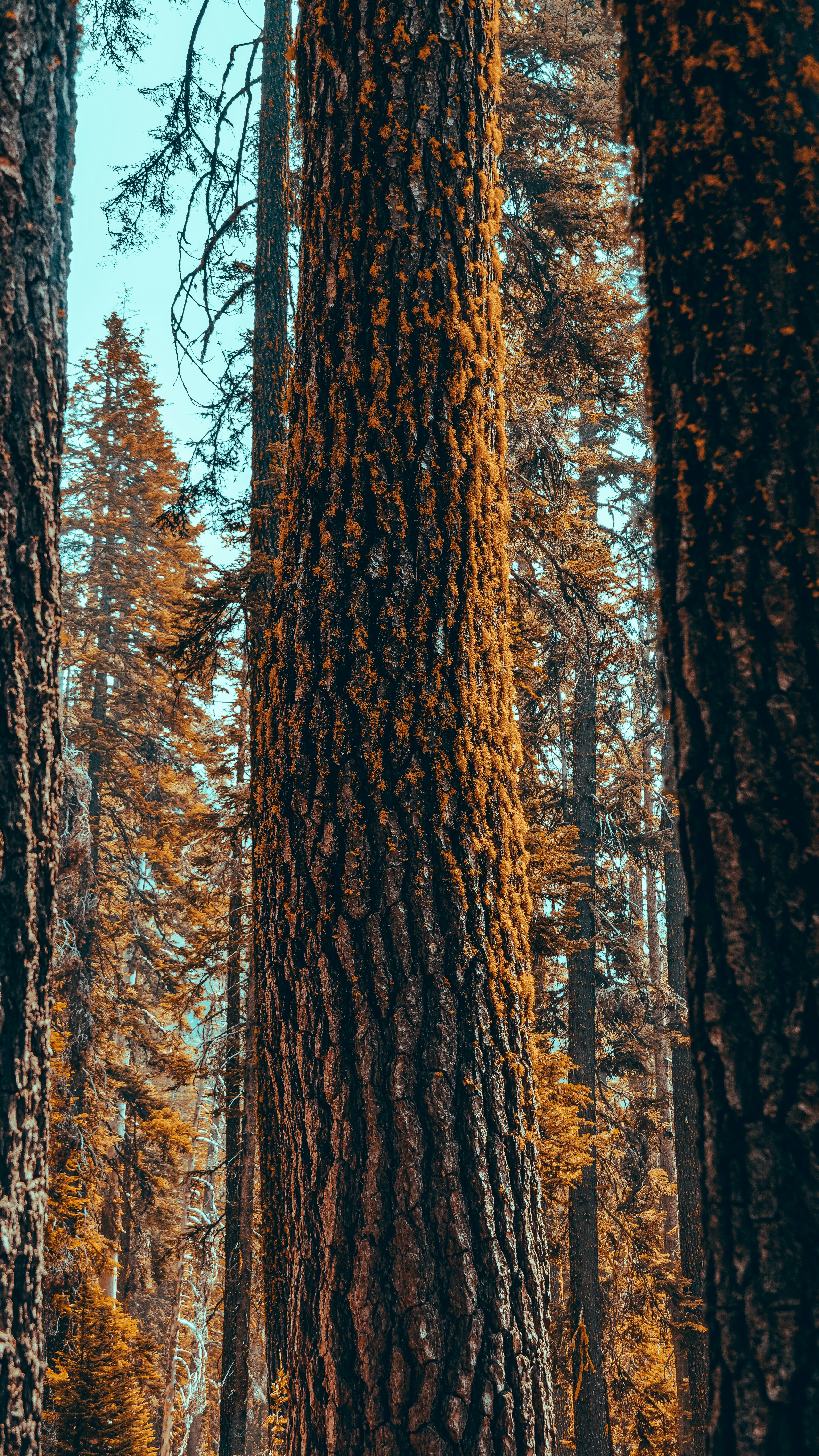 Photo by adrianvalverdem