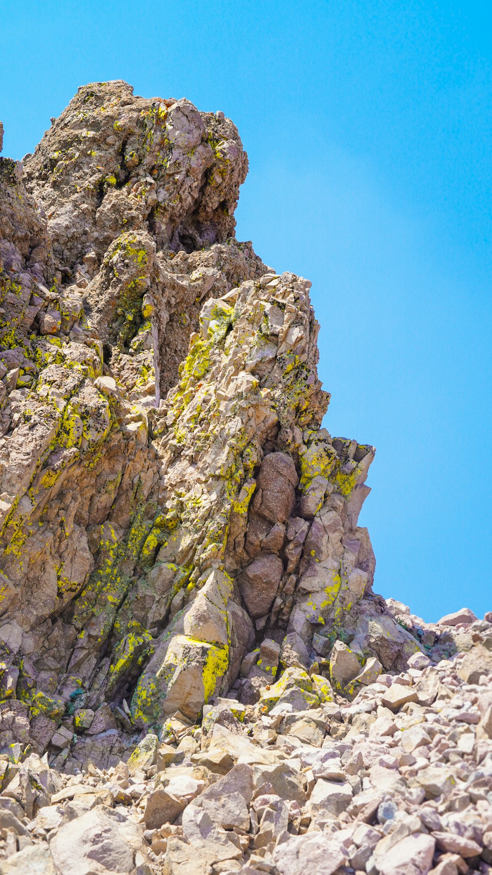 a mountain goat standing on top of a rocky hill