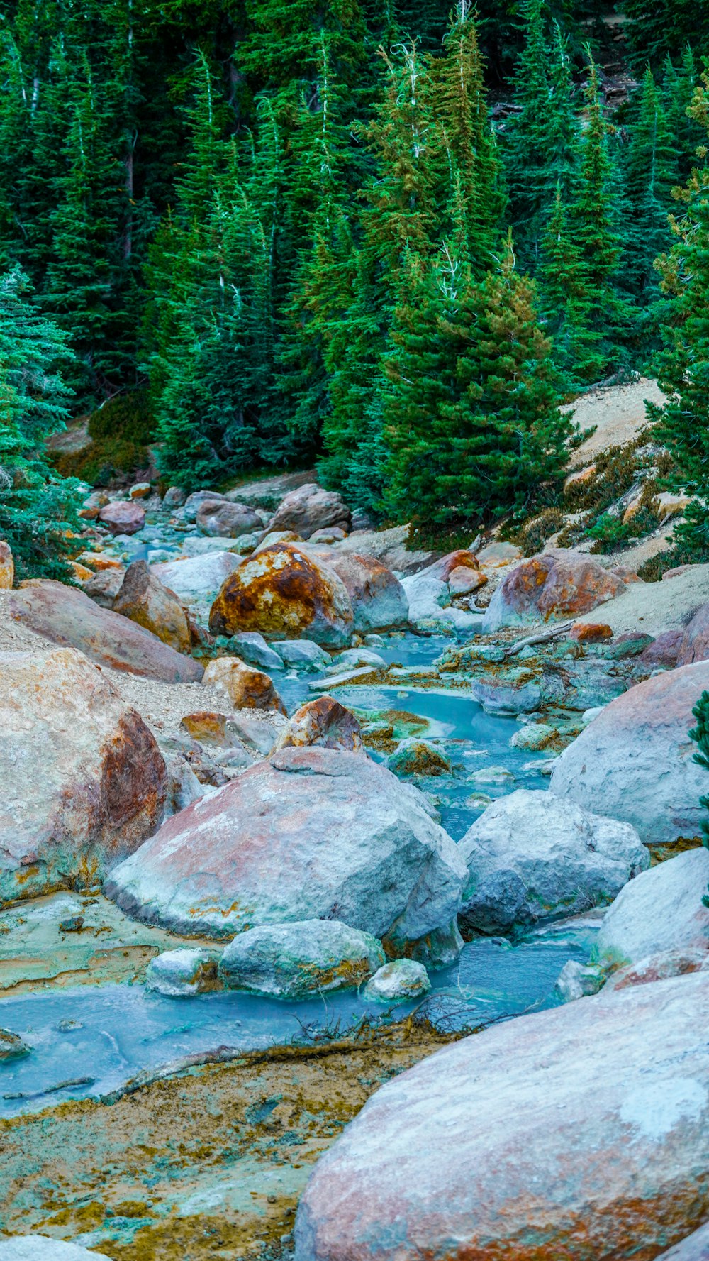 a stream running through a forest filled with lots of rocks