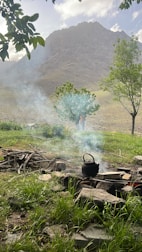 A serene outdoor scene with band members jamming casually around a campfire.