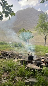 A serene outdoor scene with band members jamming casually around a campfire.