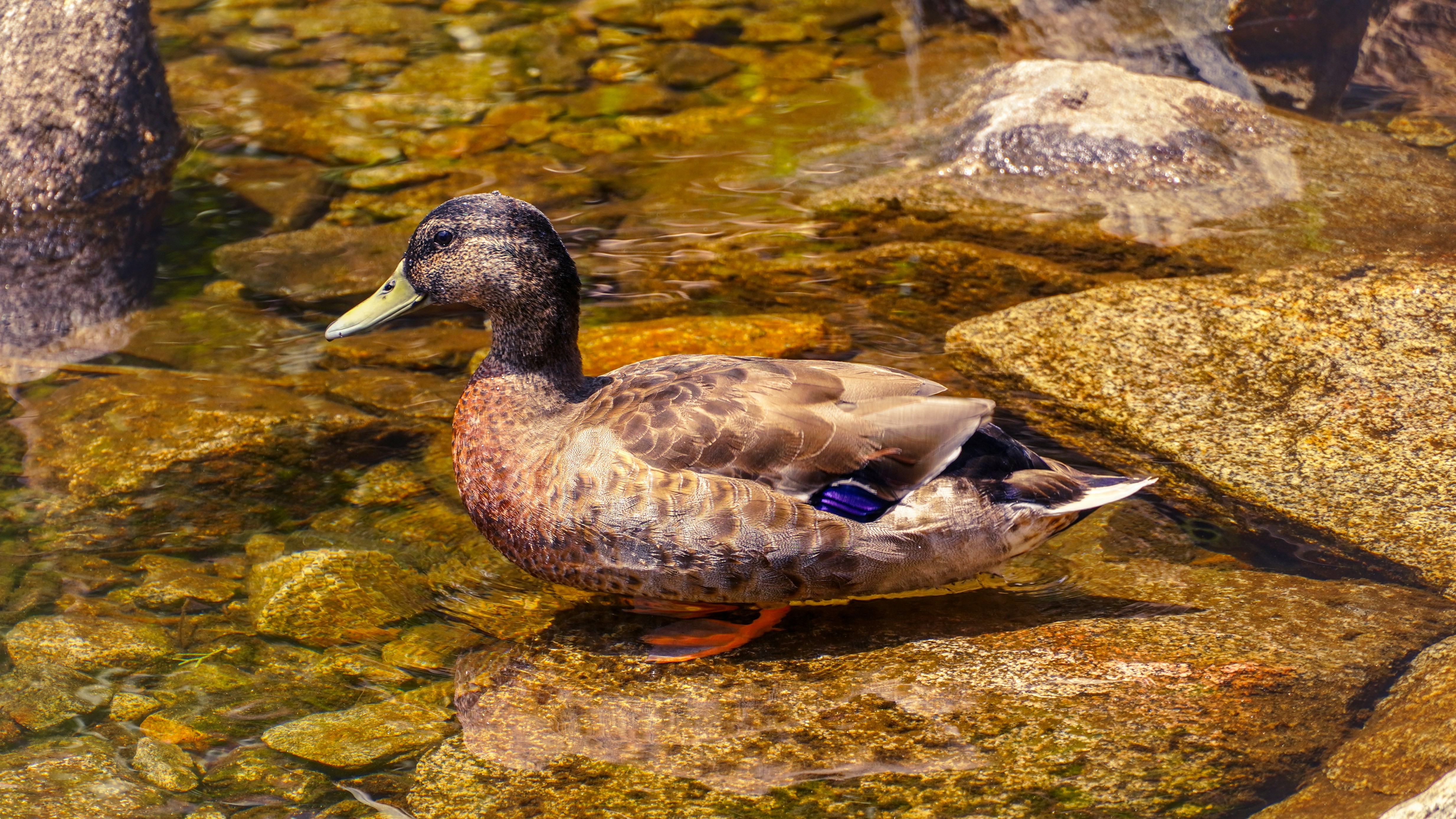 Photo by adrianvalverdem