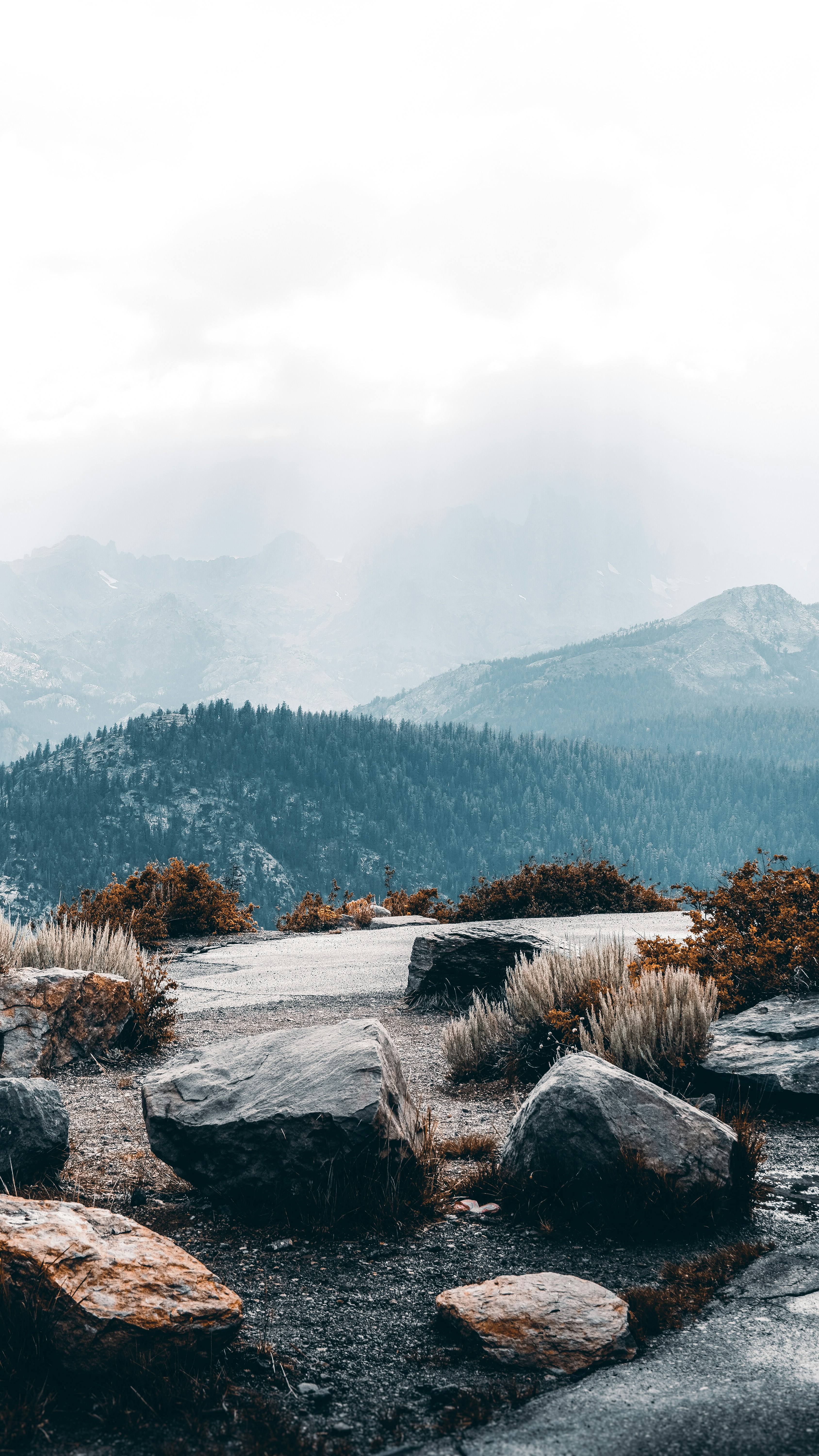 Photo by adrianvalverdem