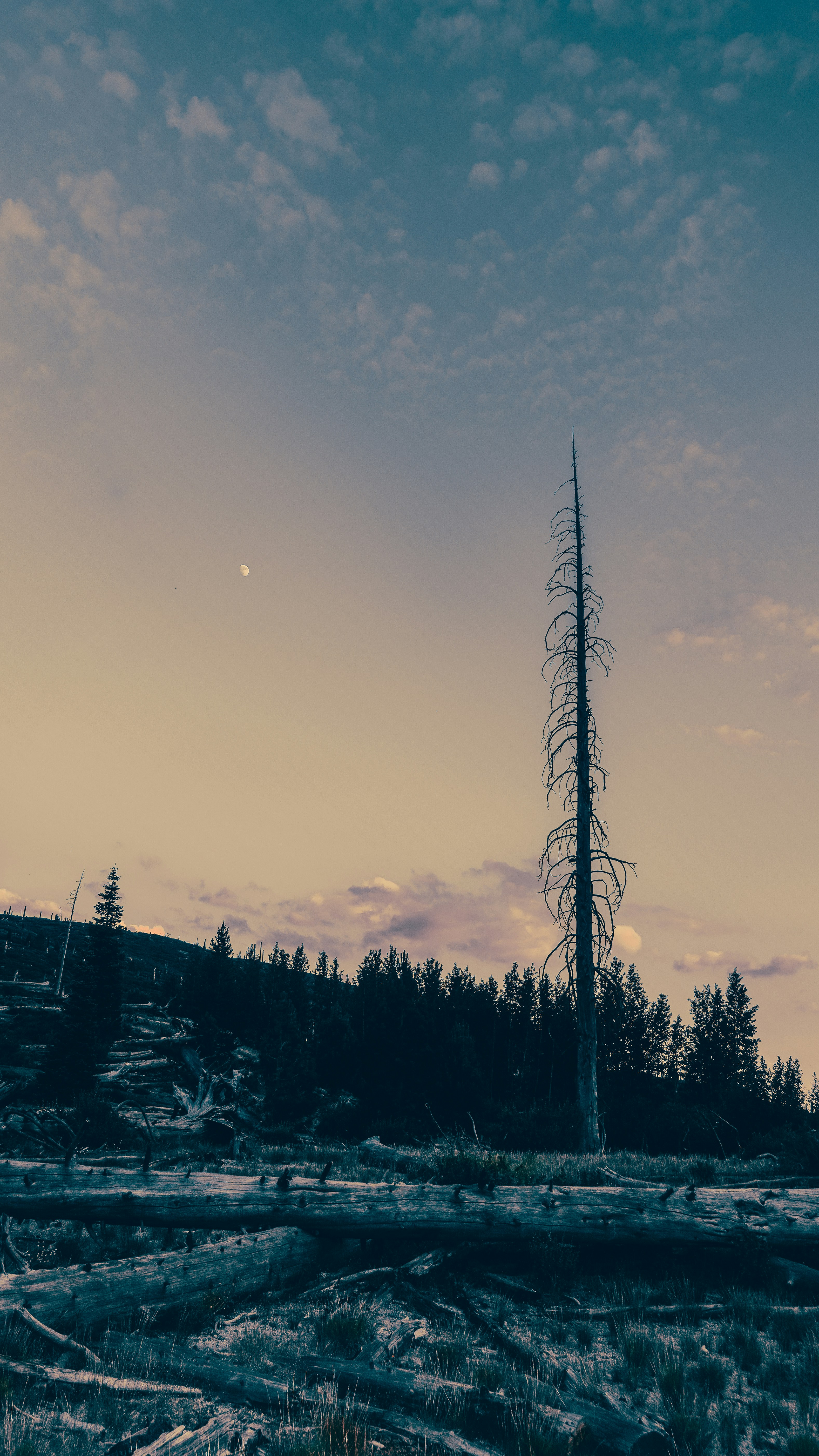 Photo by adrianvalverdem