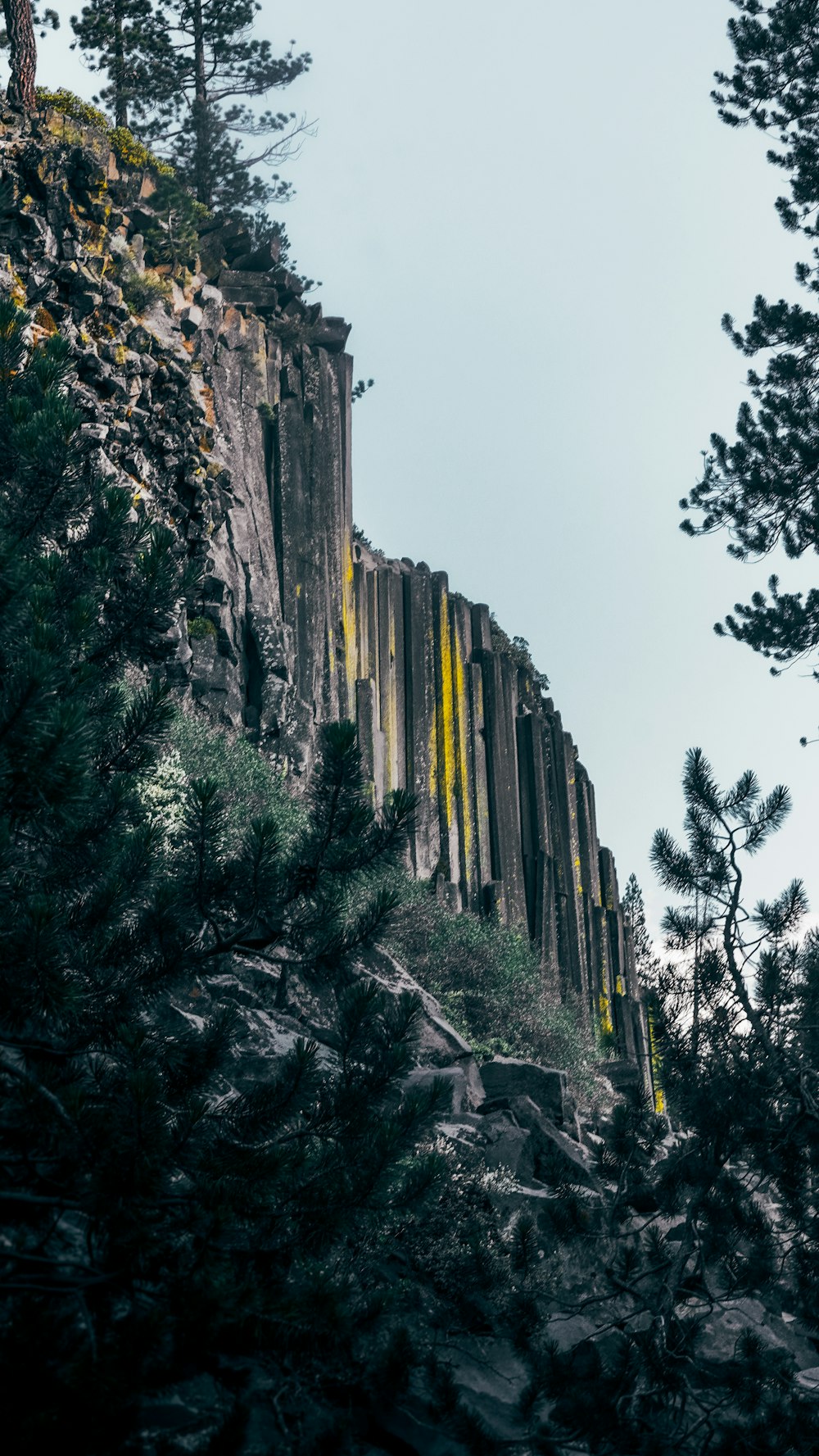 a very tall rock formation with trees around it