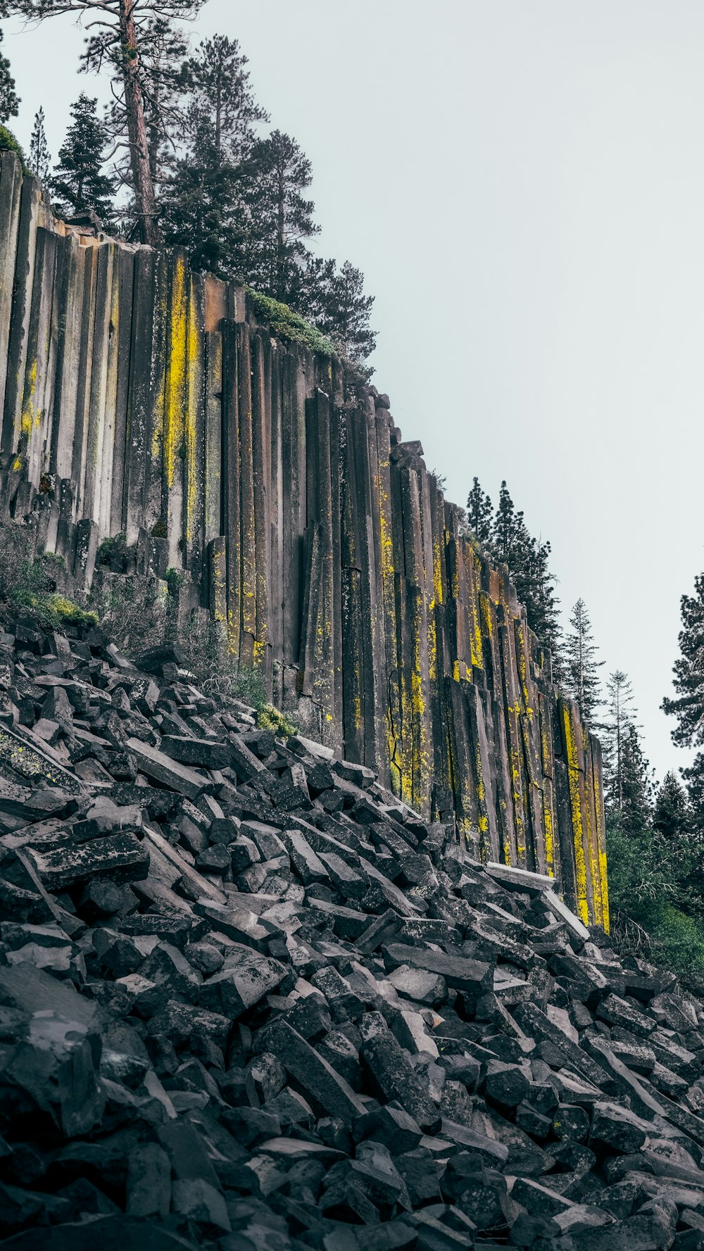 a large rock formation with yellow moss growing on it