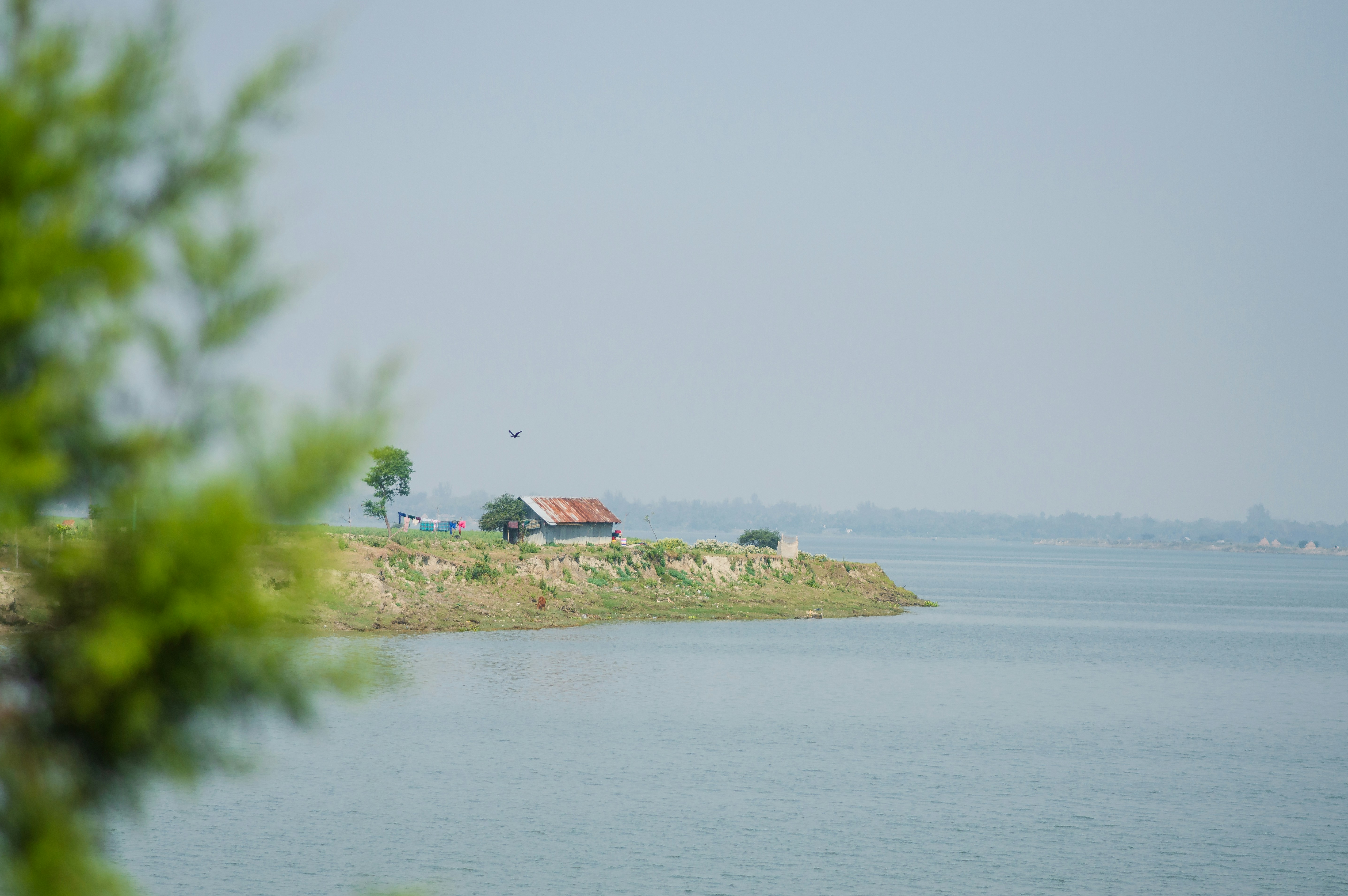 Photo by nishaan_ahmed