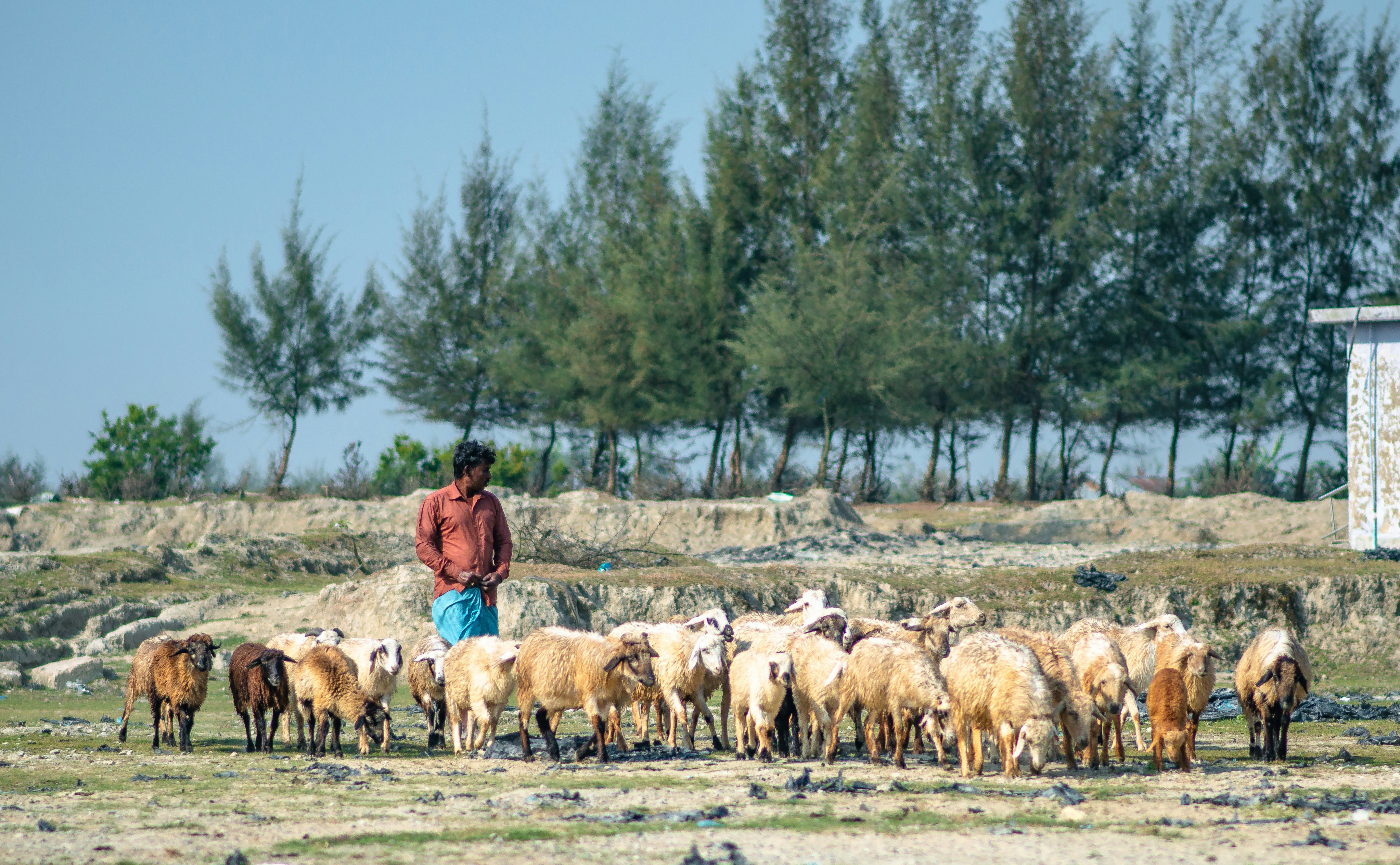 Photo by nishaan_ahmed