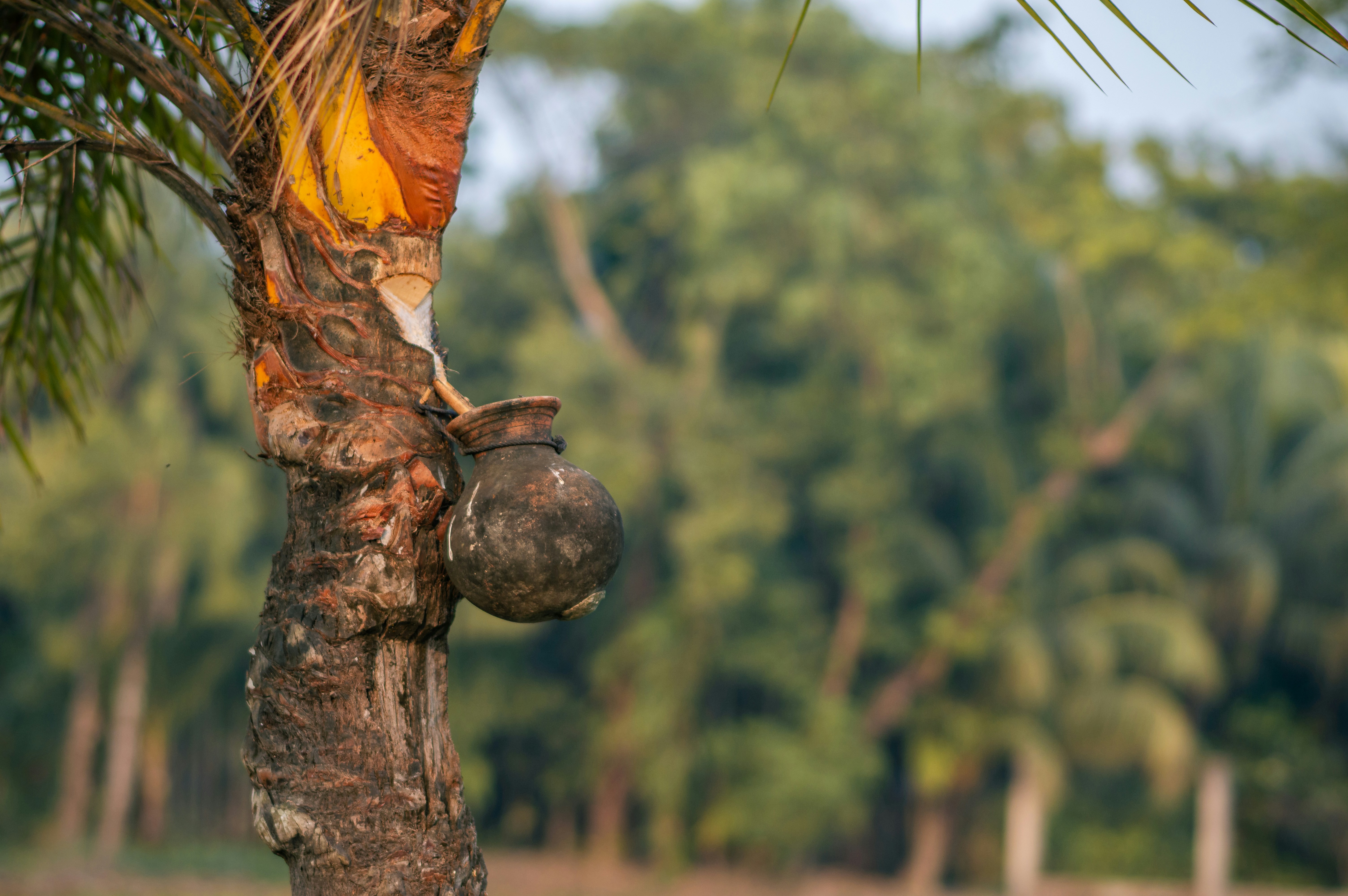 Photo by nishaan_ahmed