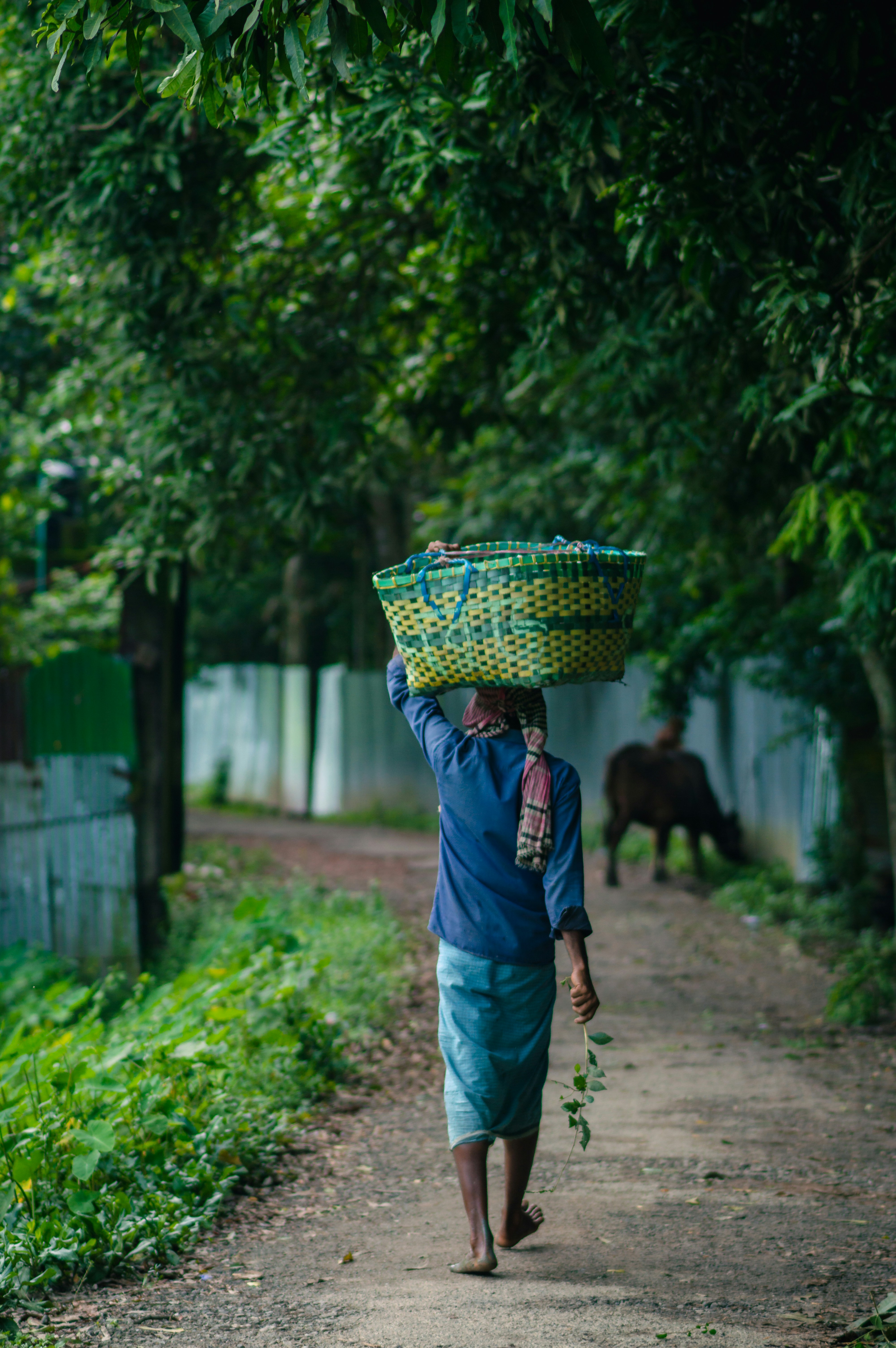 Photo by nishaan_ahmed