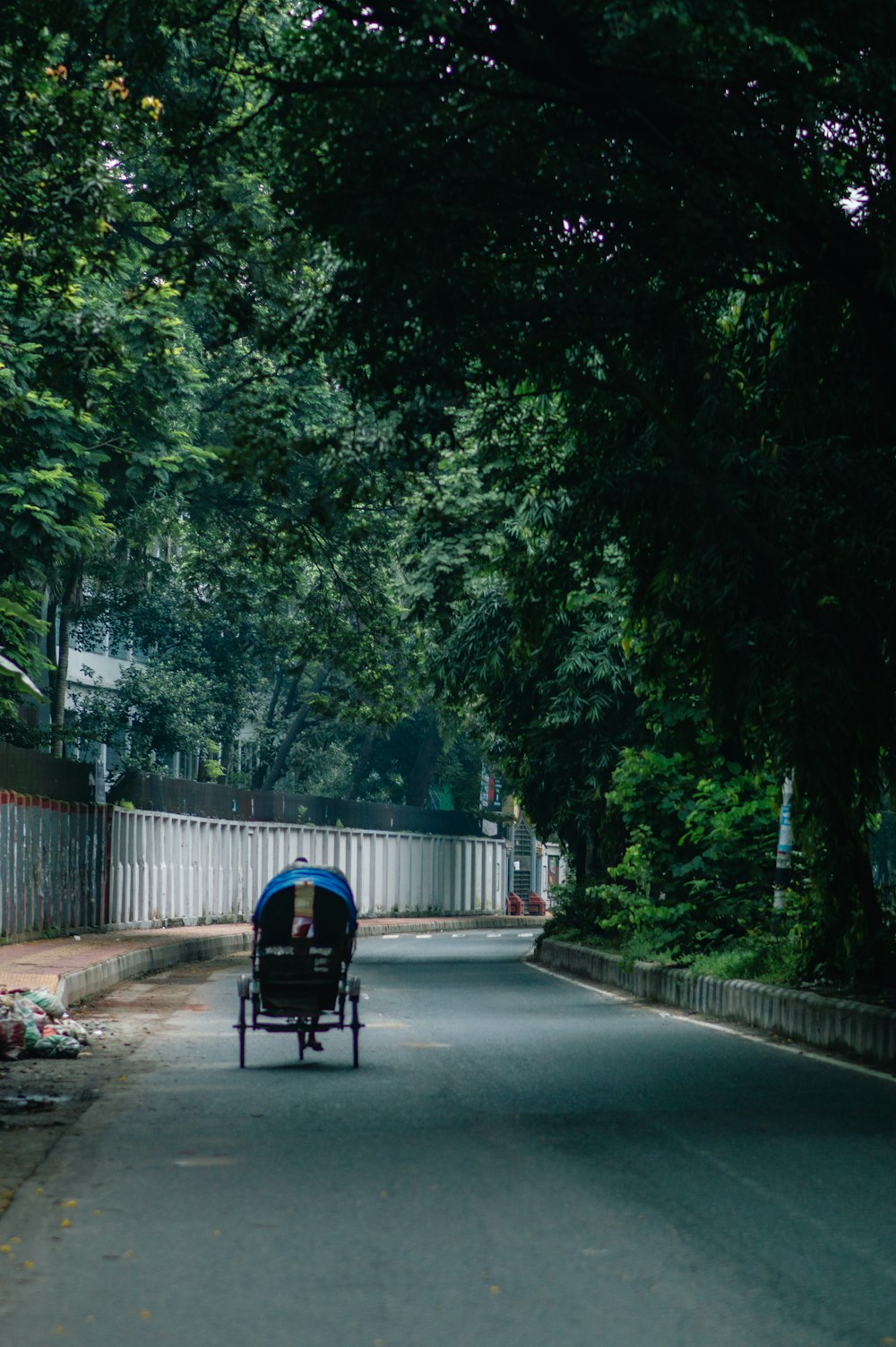 a baby buggy is traveling down a tree lined street