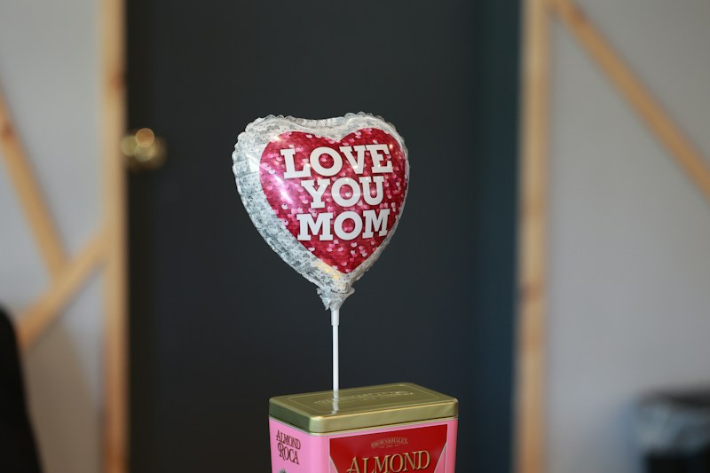 Pregnancy Journal & Memory Book