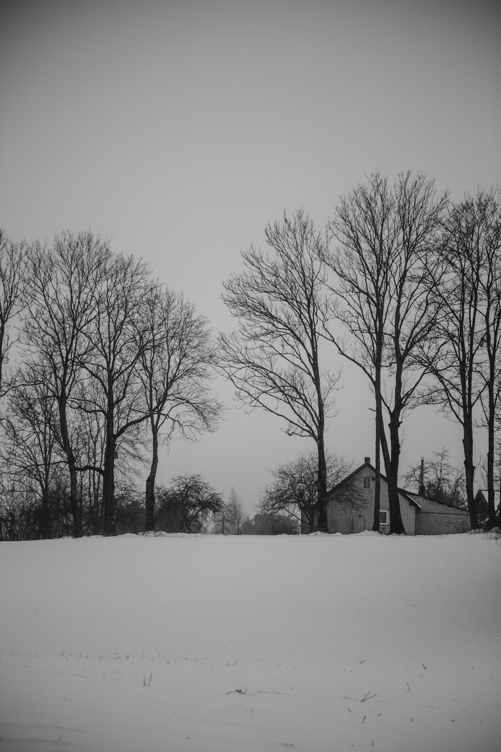 a black and white photo of a snow covered field