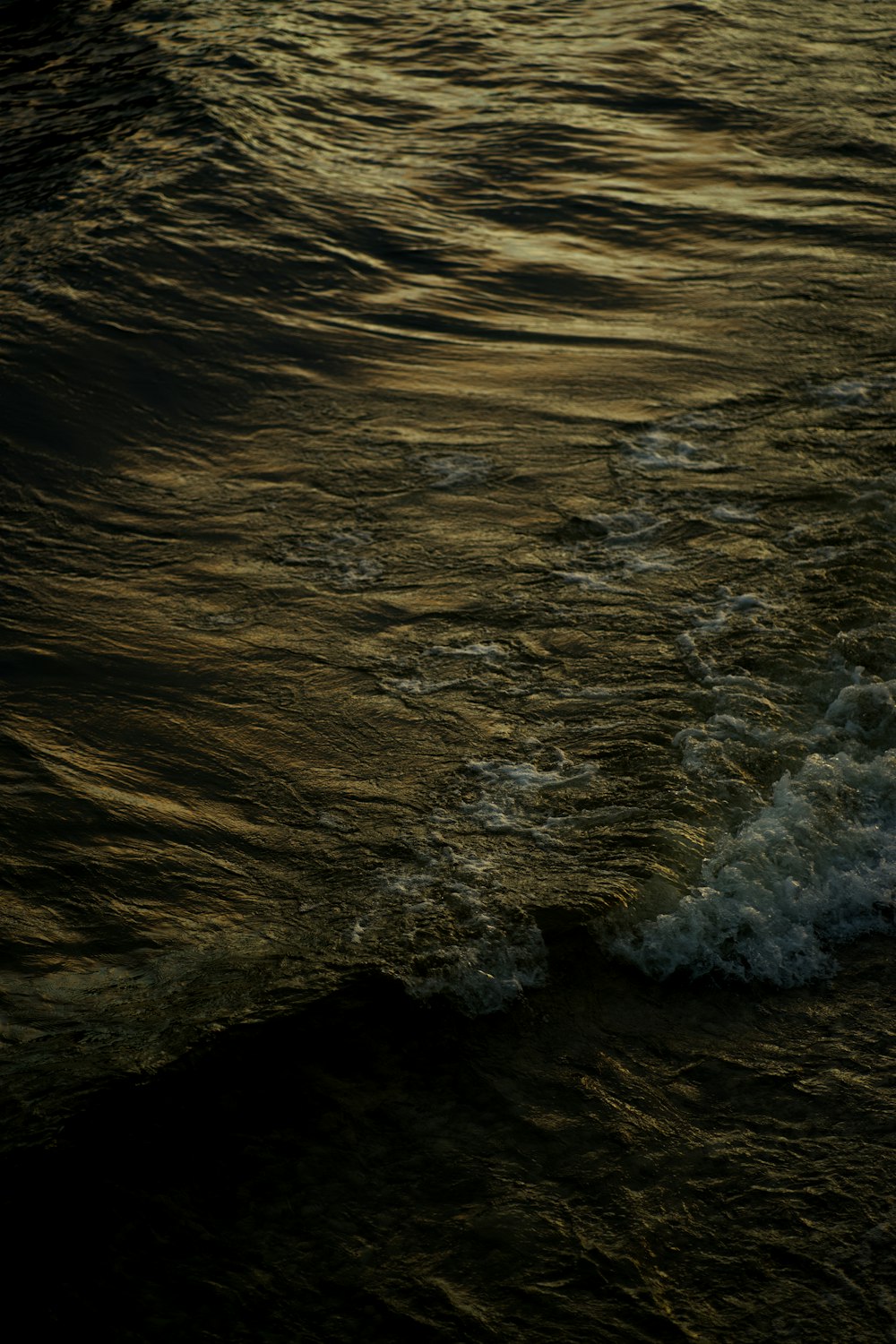 a person riding a surfboard on a wave in the ocean