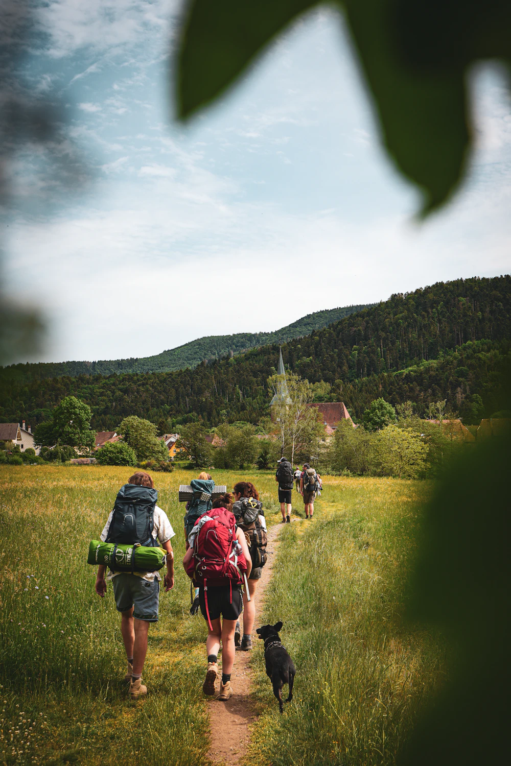 Grupo de personas con mochilas caminando por un sendero