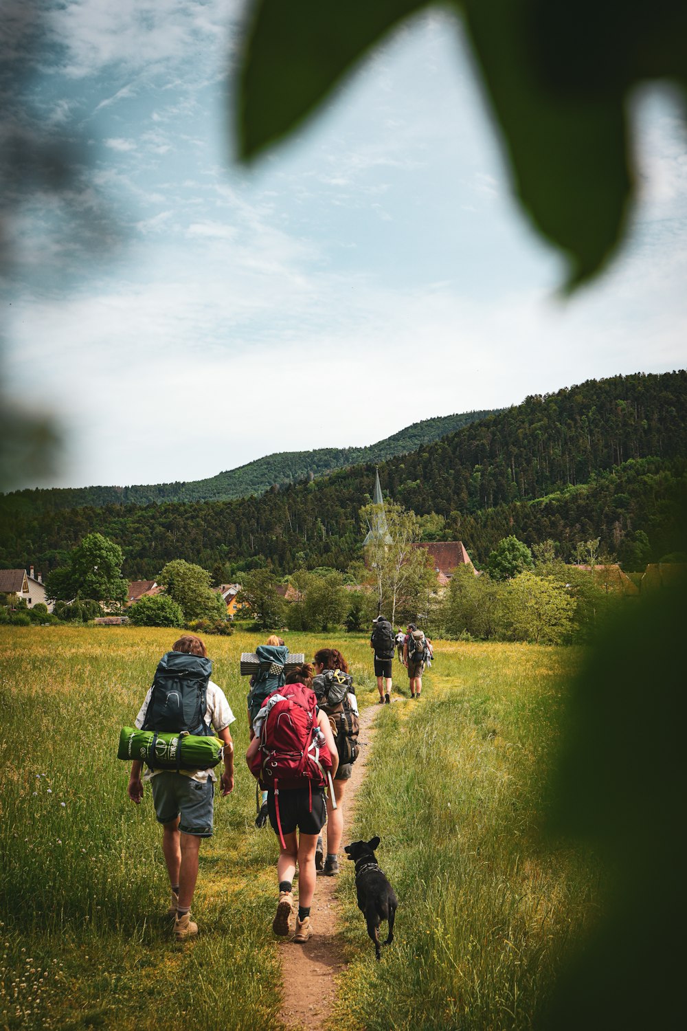 a group of people with backpacks walking down a trail