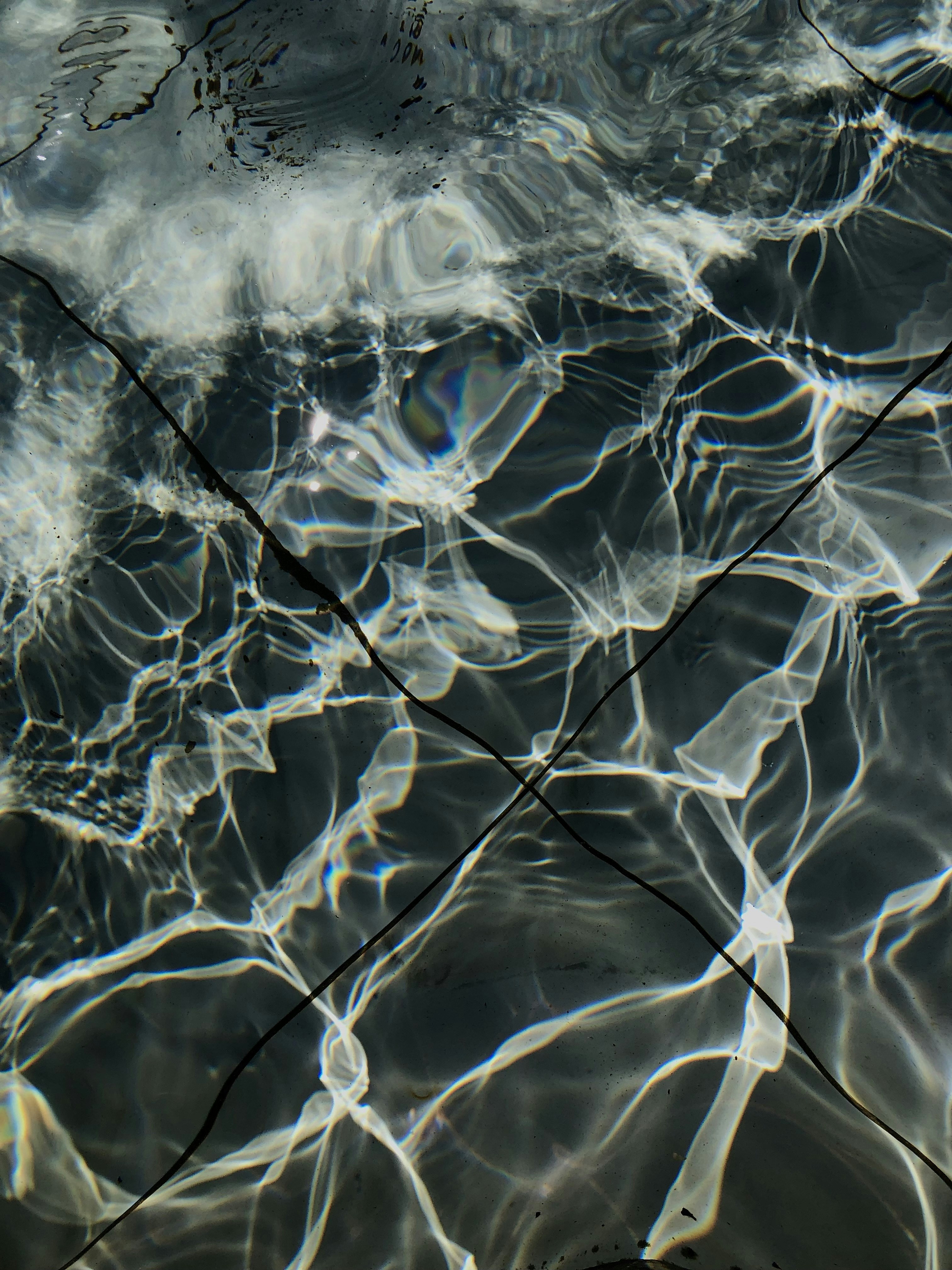 Photo by fatalityduck